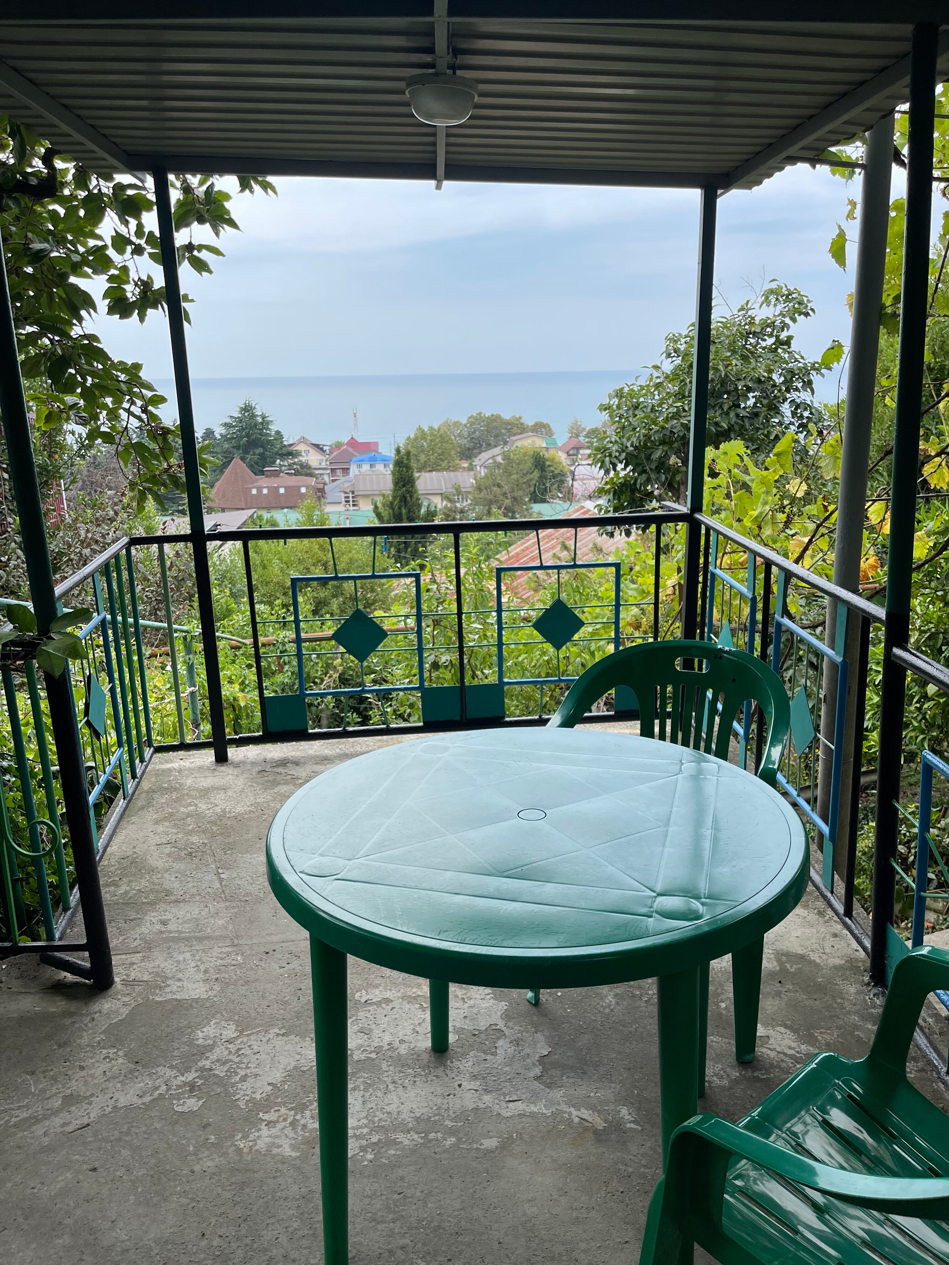 Фото Под Магнолией