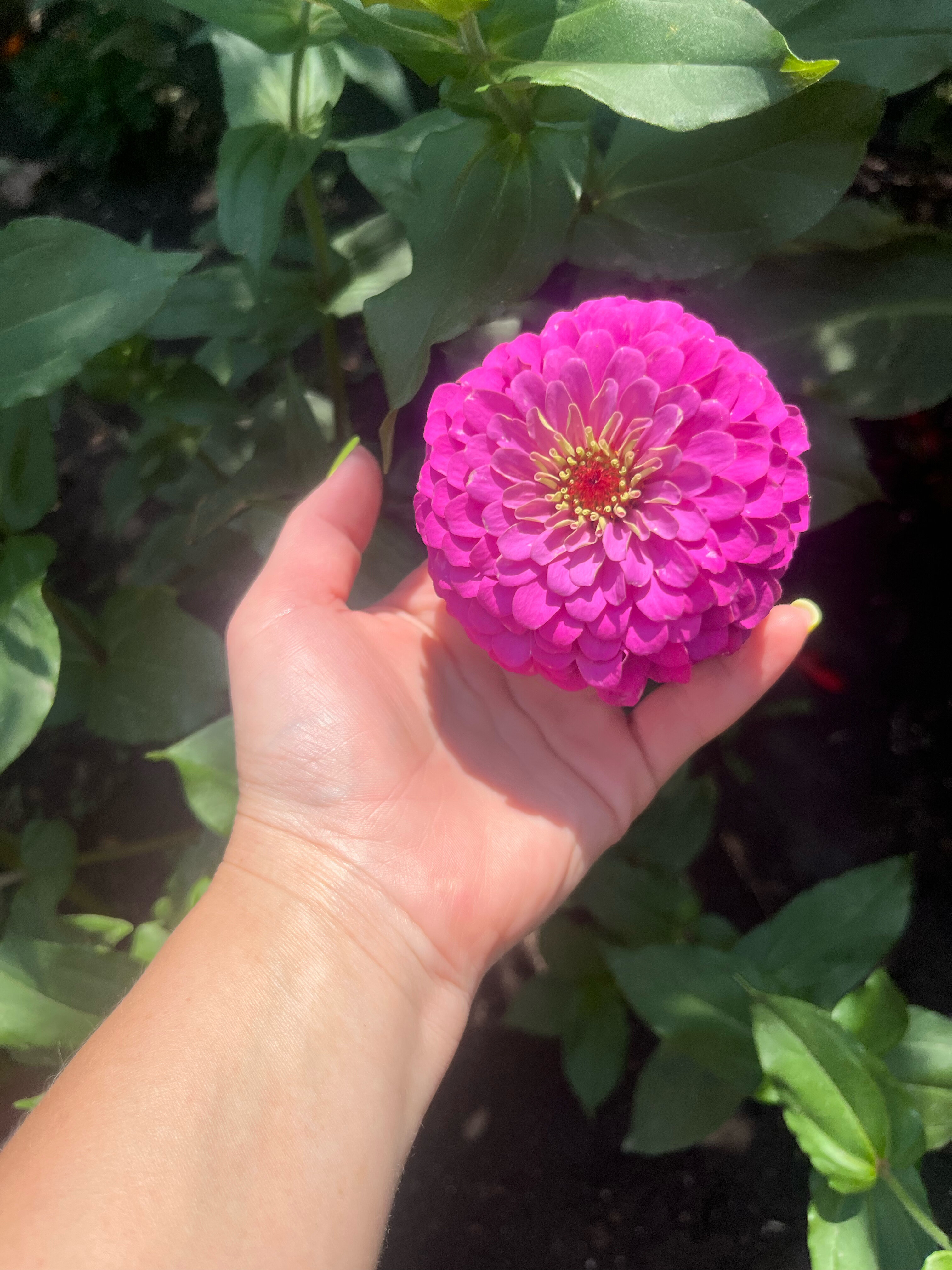 Фото Лукоморье