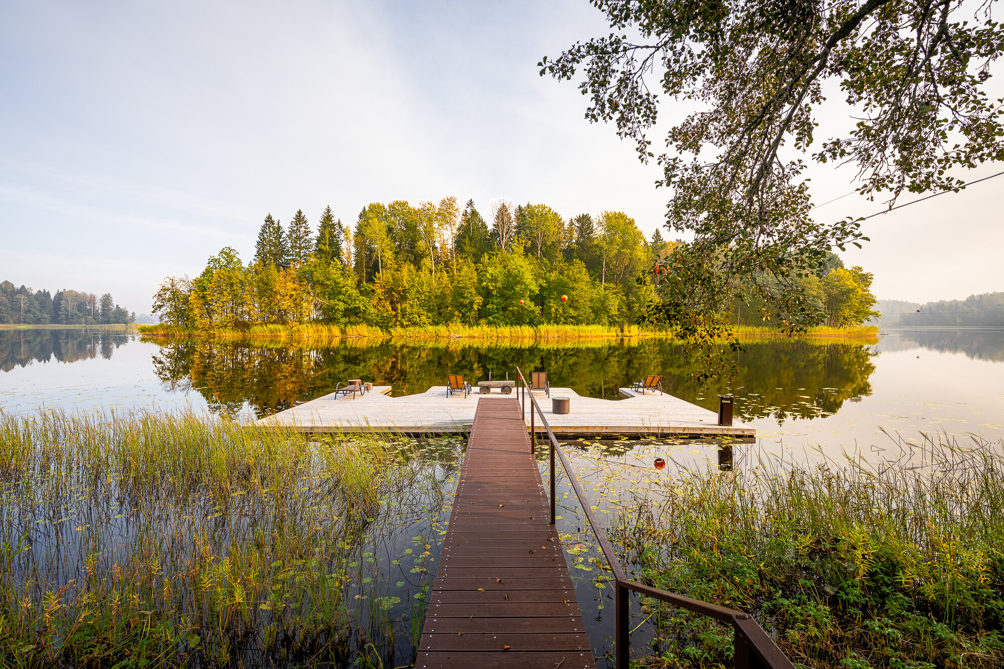 Фото  Времена года
