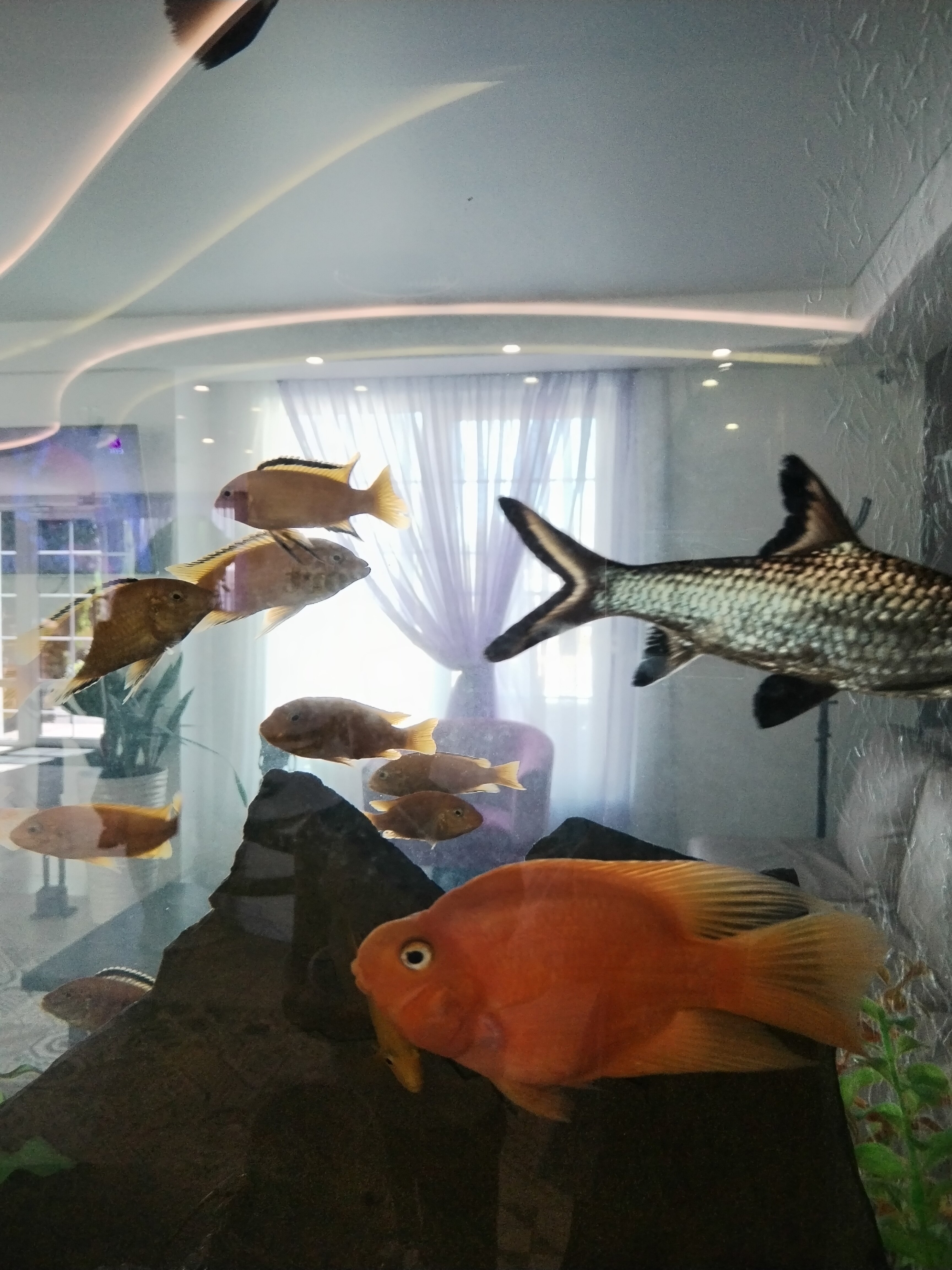 Фото Си Бриз Резорт