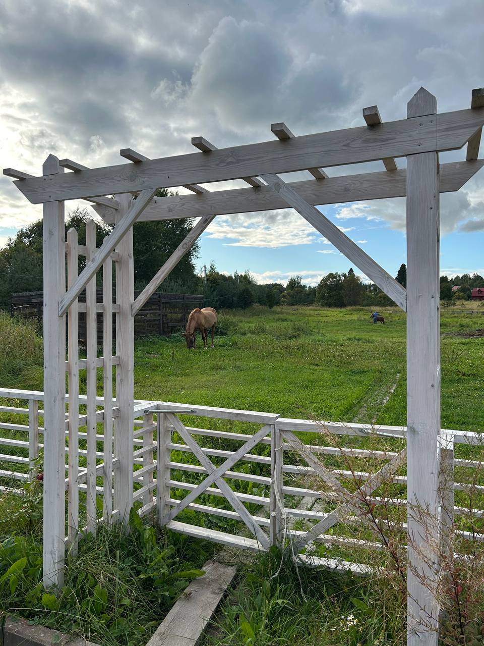 Фото Зюзино