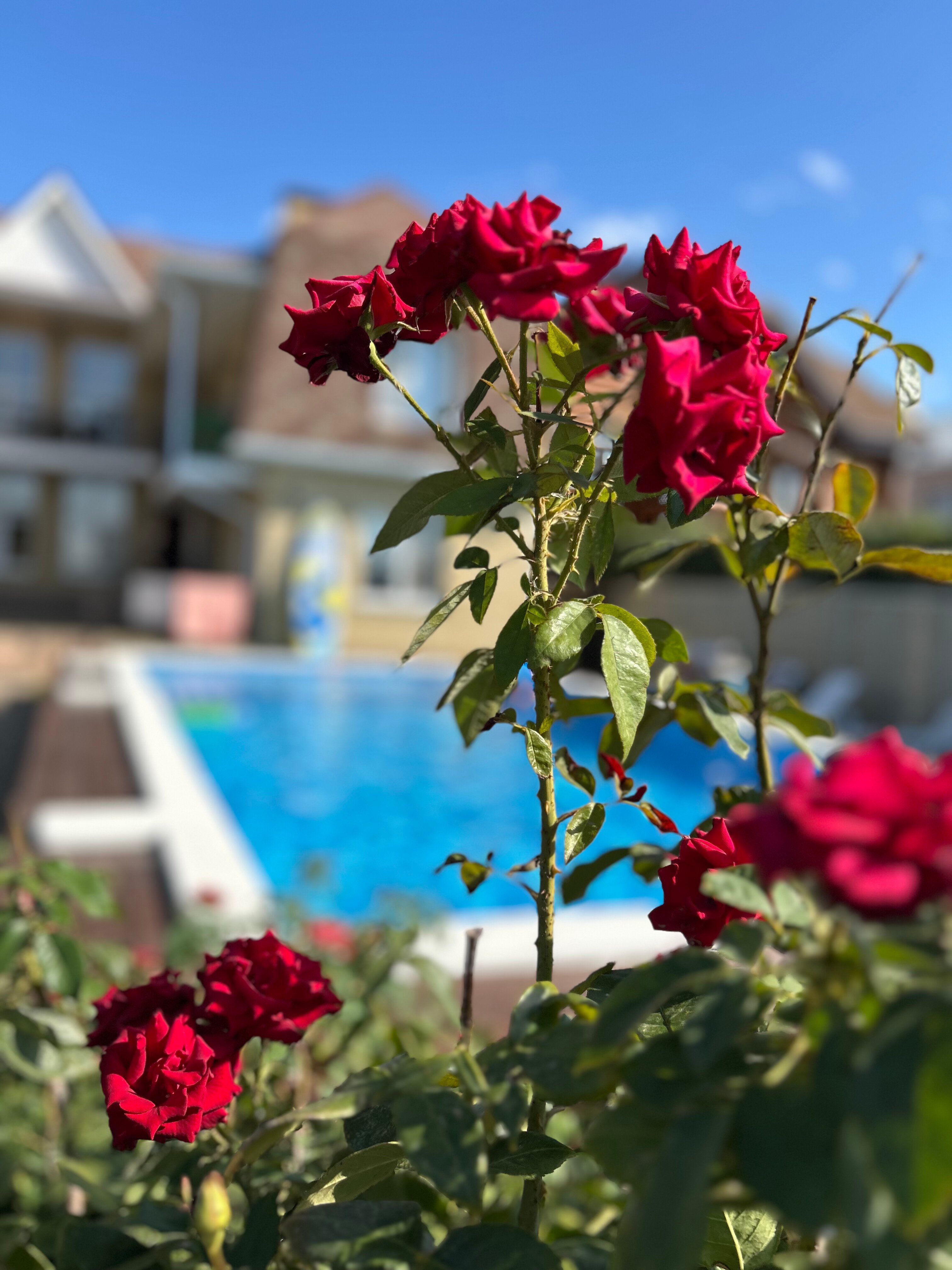 Фото Стефания на Николаевской