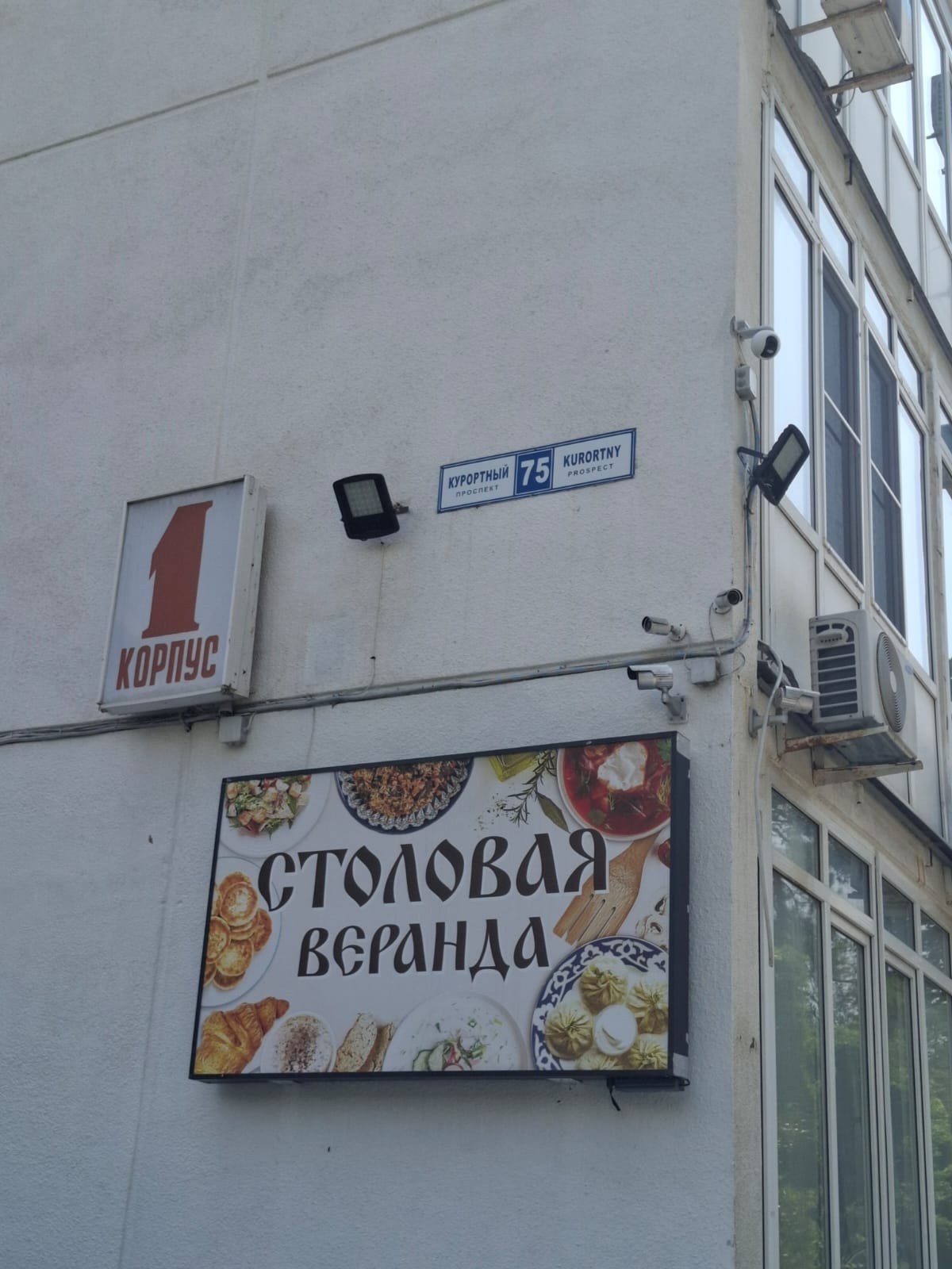 Фото Светлана Плюс