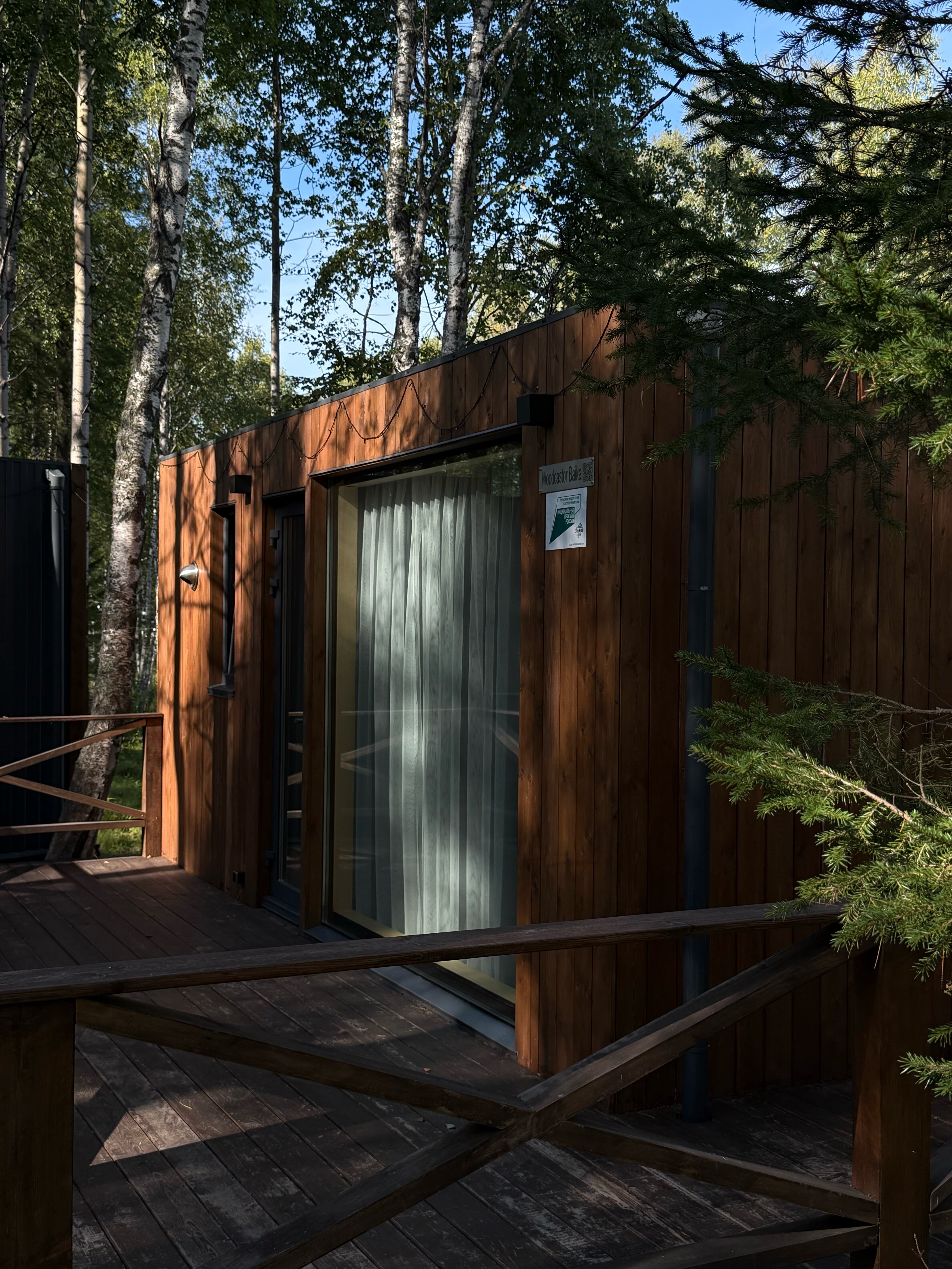 Фото Снежные Гуси