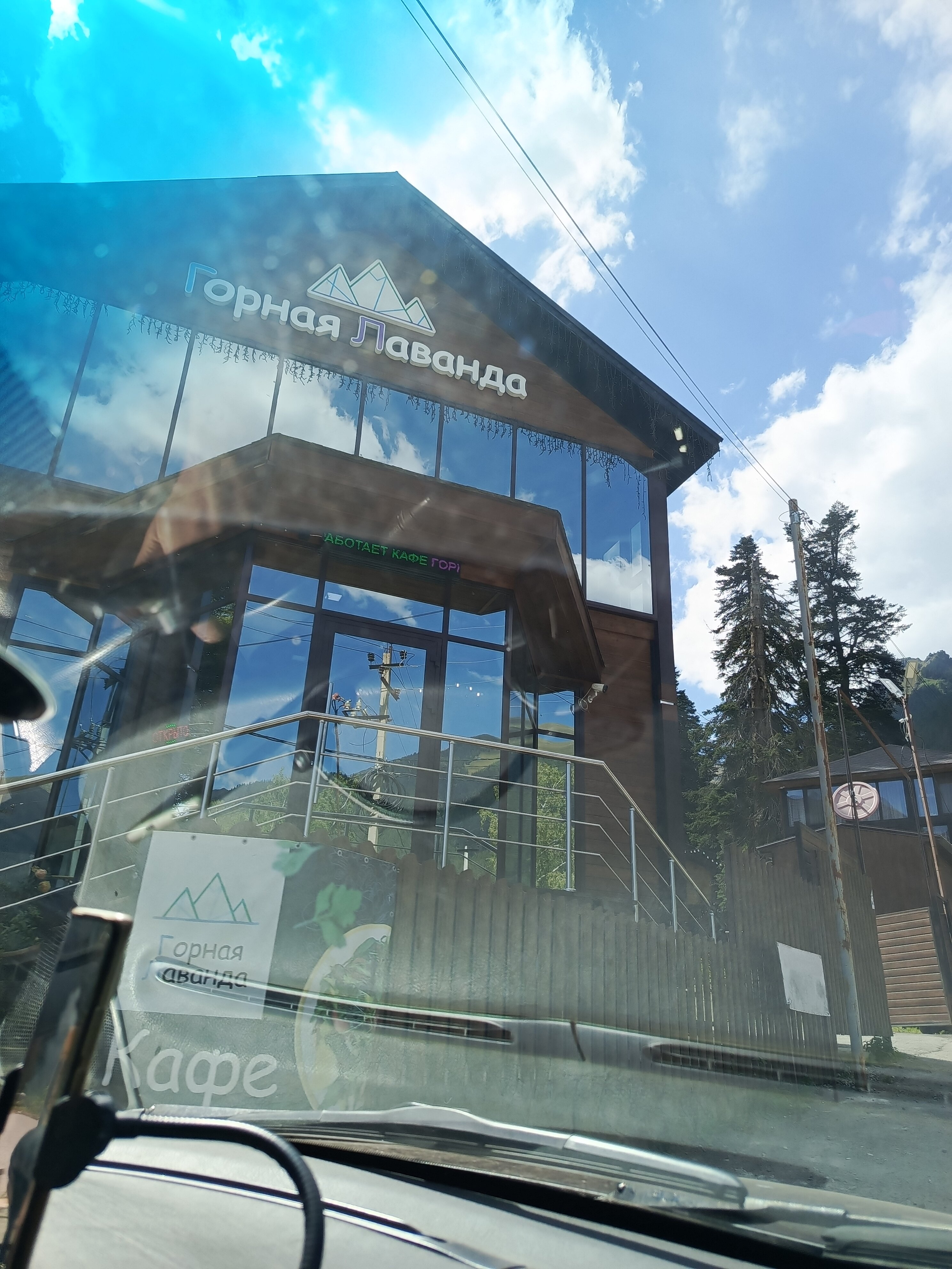 Фото Горная Лаванда