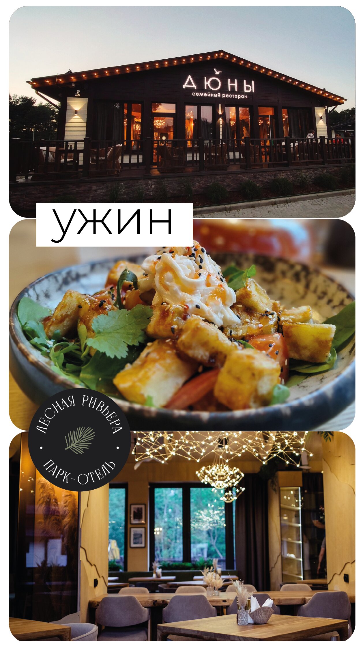 Фото Лесная Ривьера