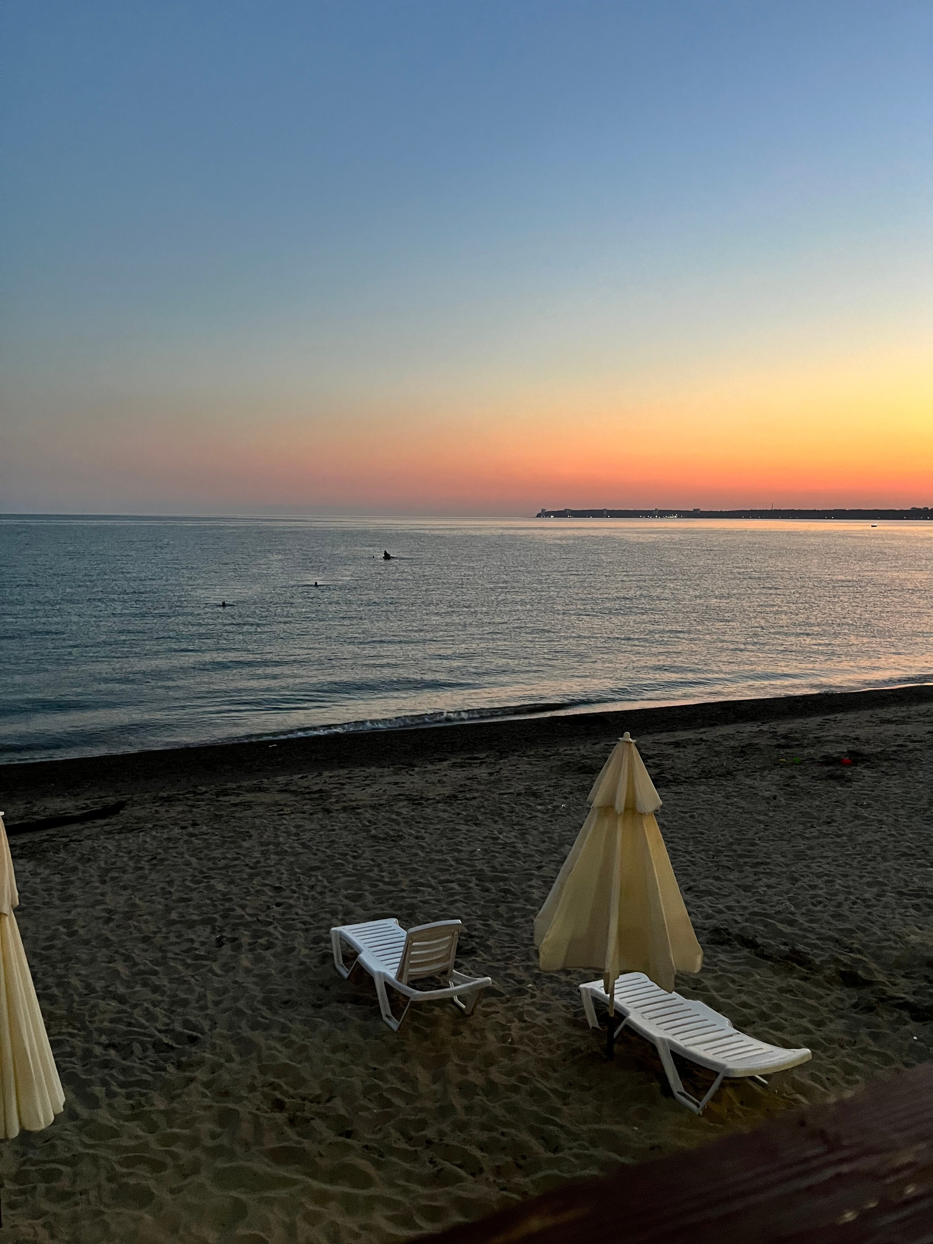 Фото Арбика