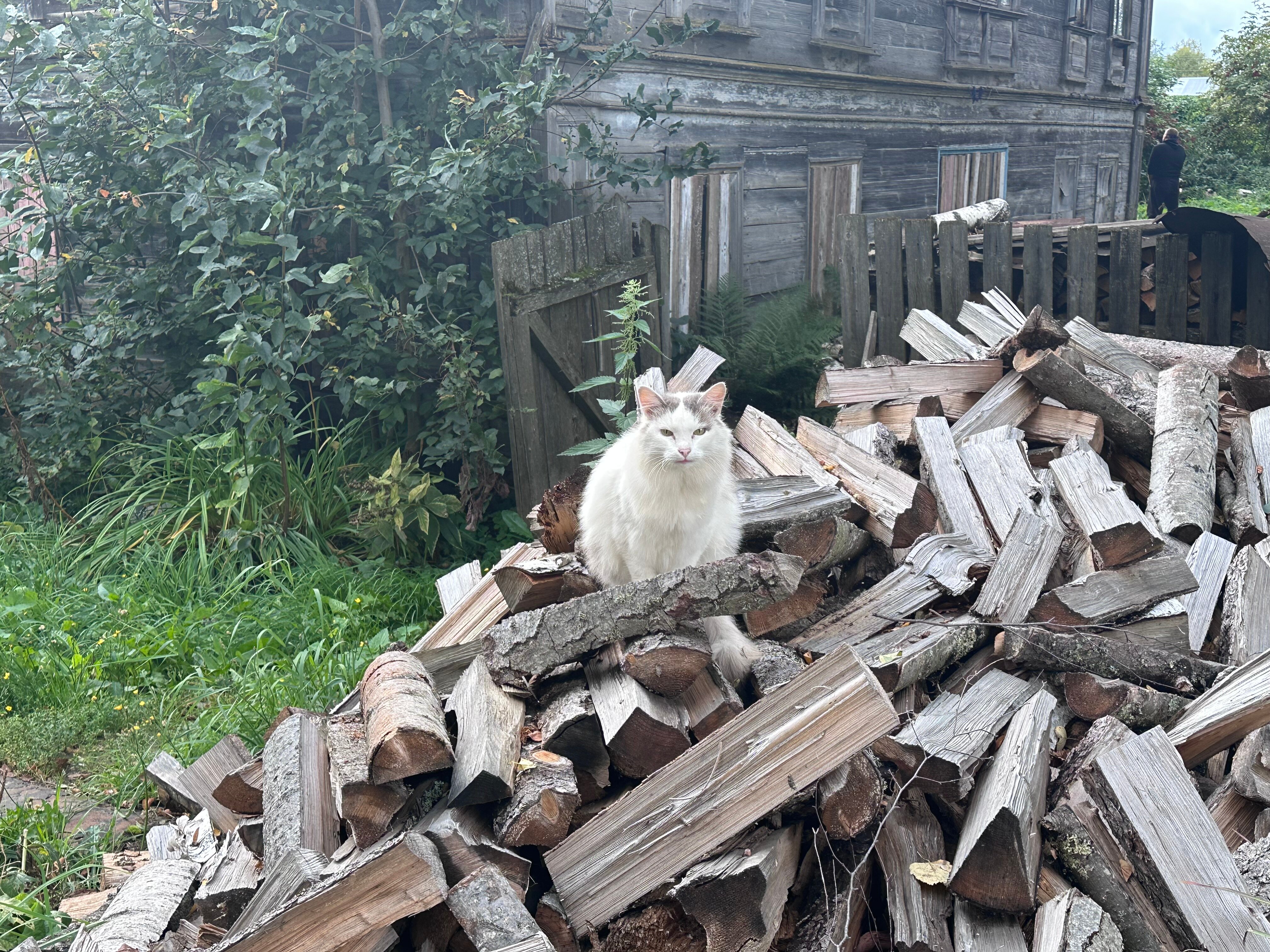 Фото Усадьба Лазаревых