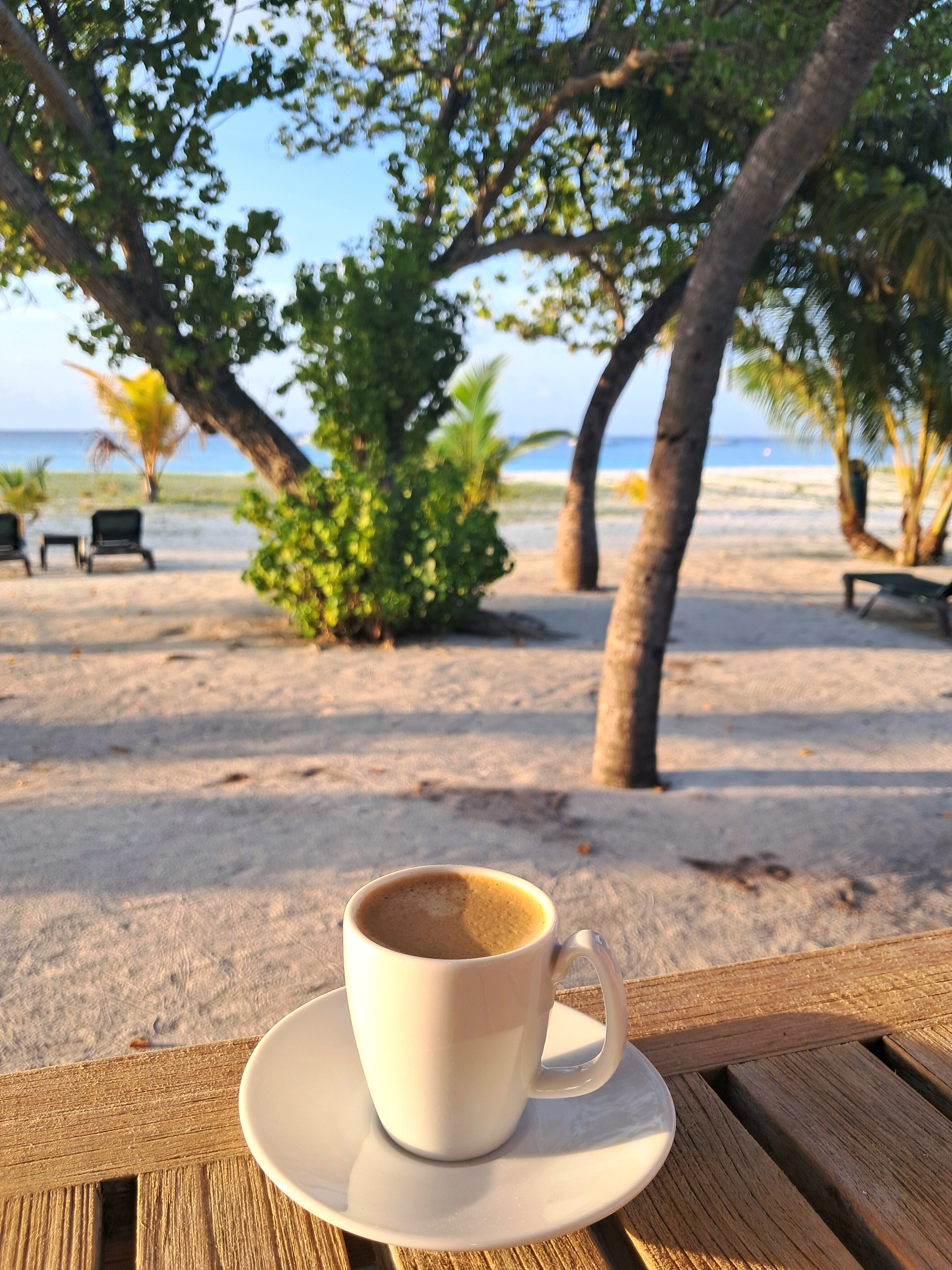 Фото Kuredu Resort and SPA