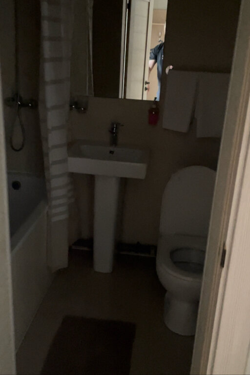 Фото Каргополочка