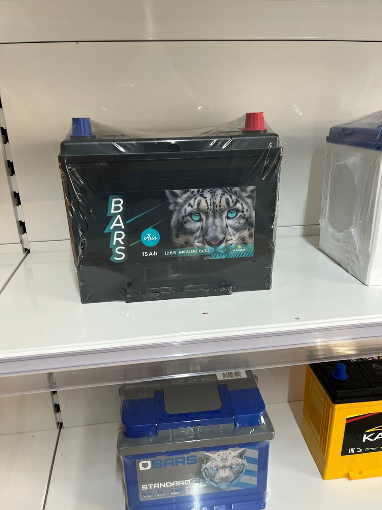 Batteries and chargers Akb Akkumulyatory dlya avto, Chimkent, photo