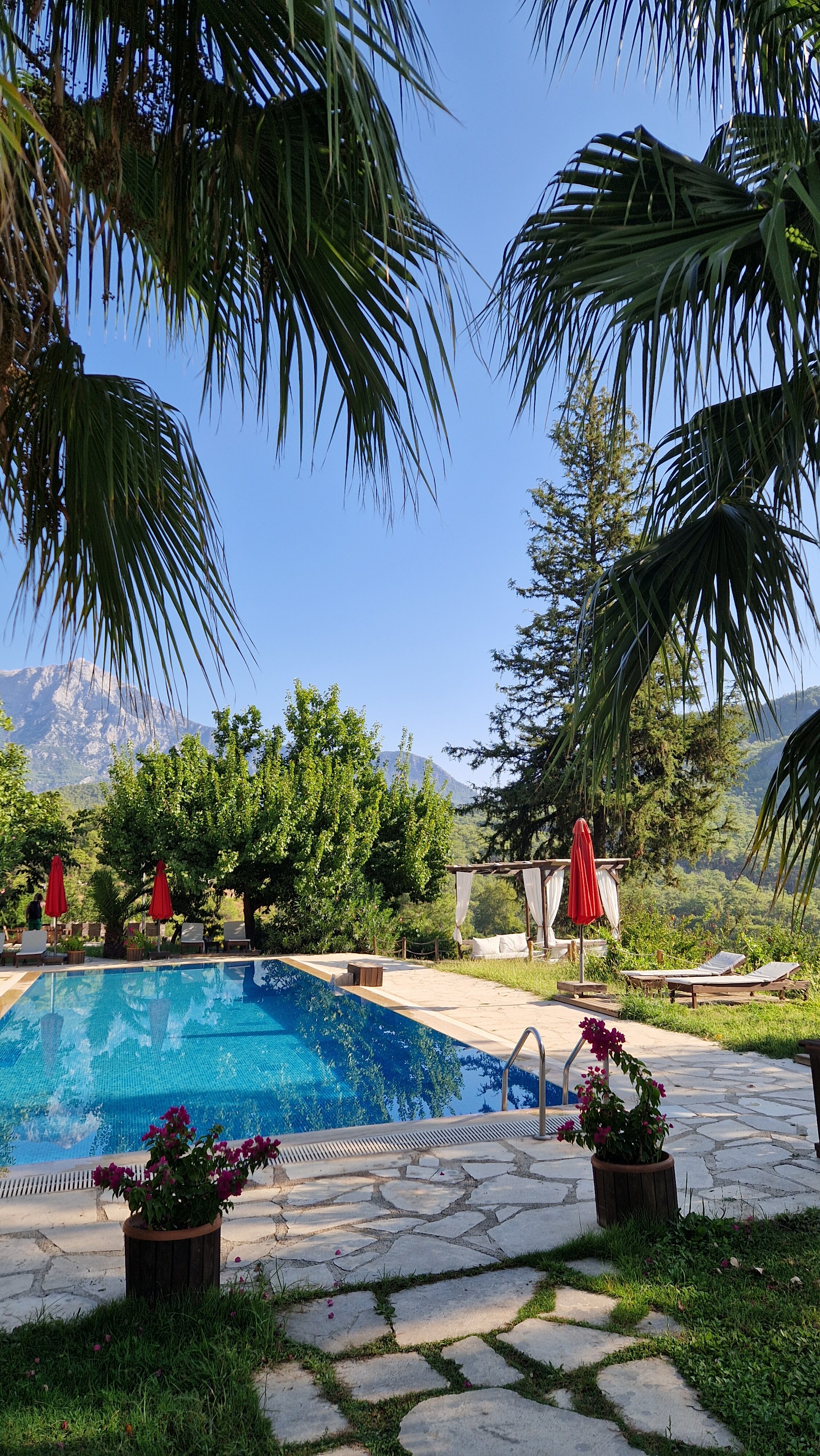 Фото Lycia Nature House