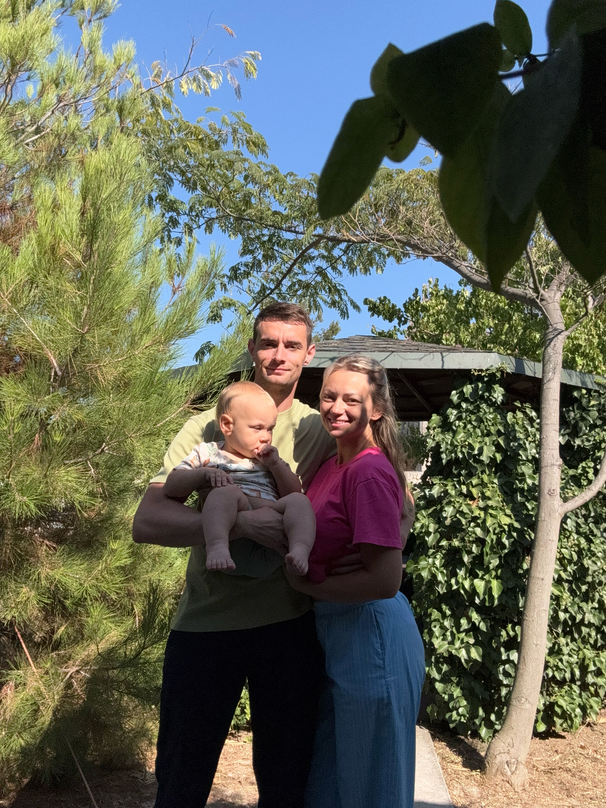 Фото АвокаДа