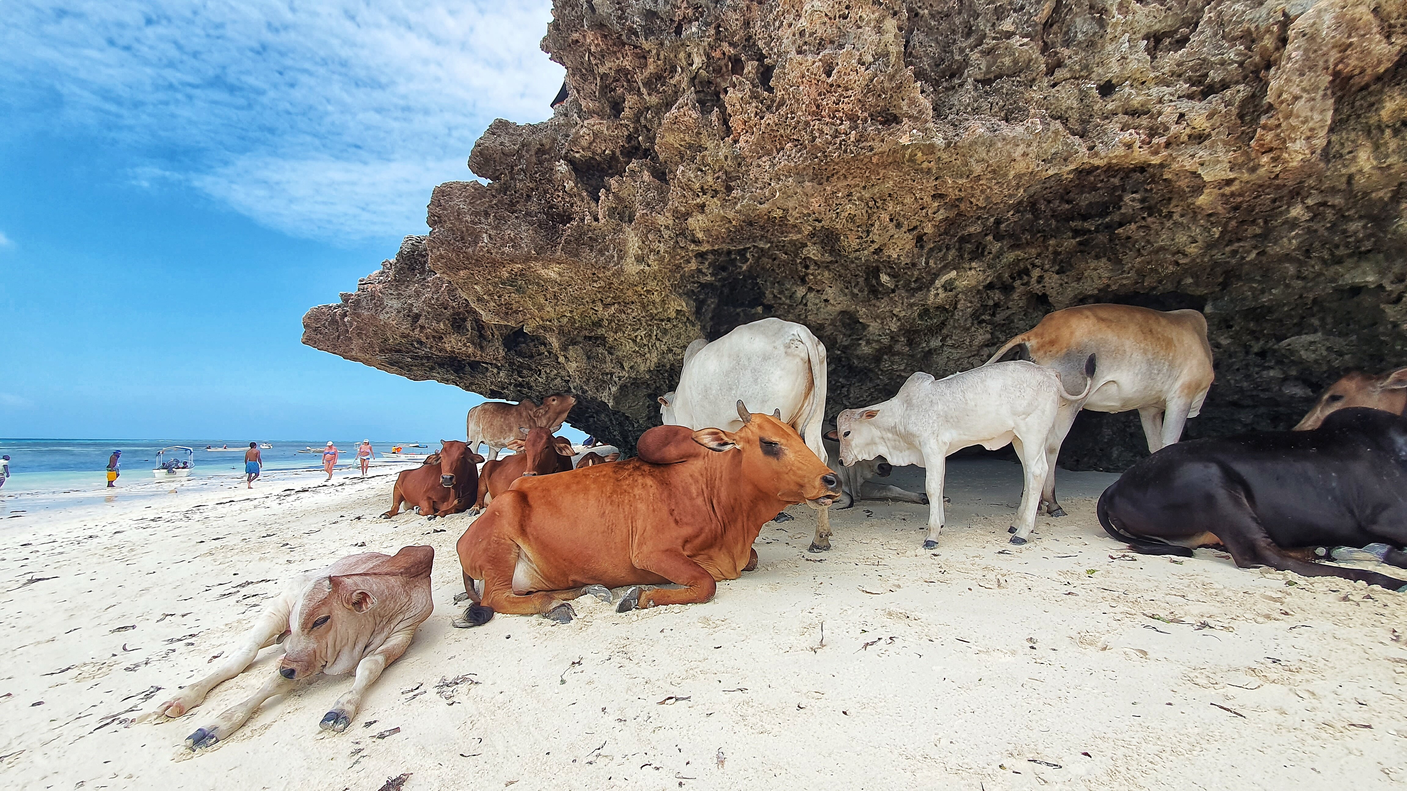 Фото The Z Hotel