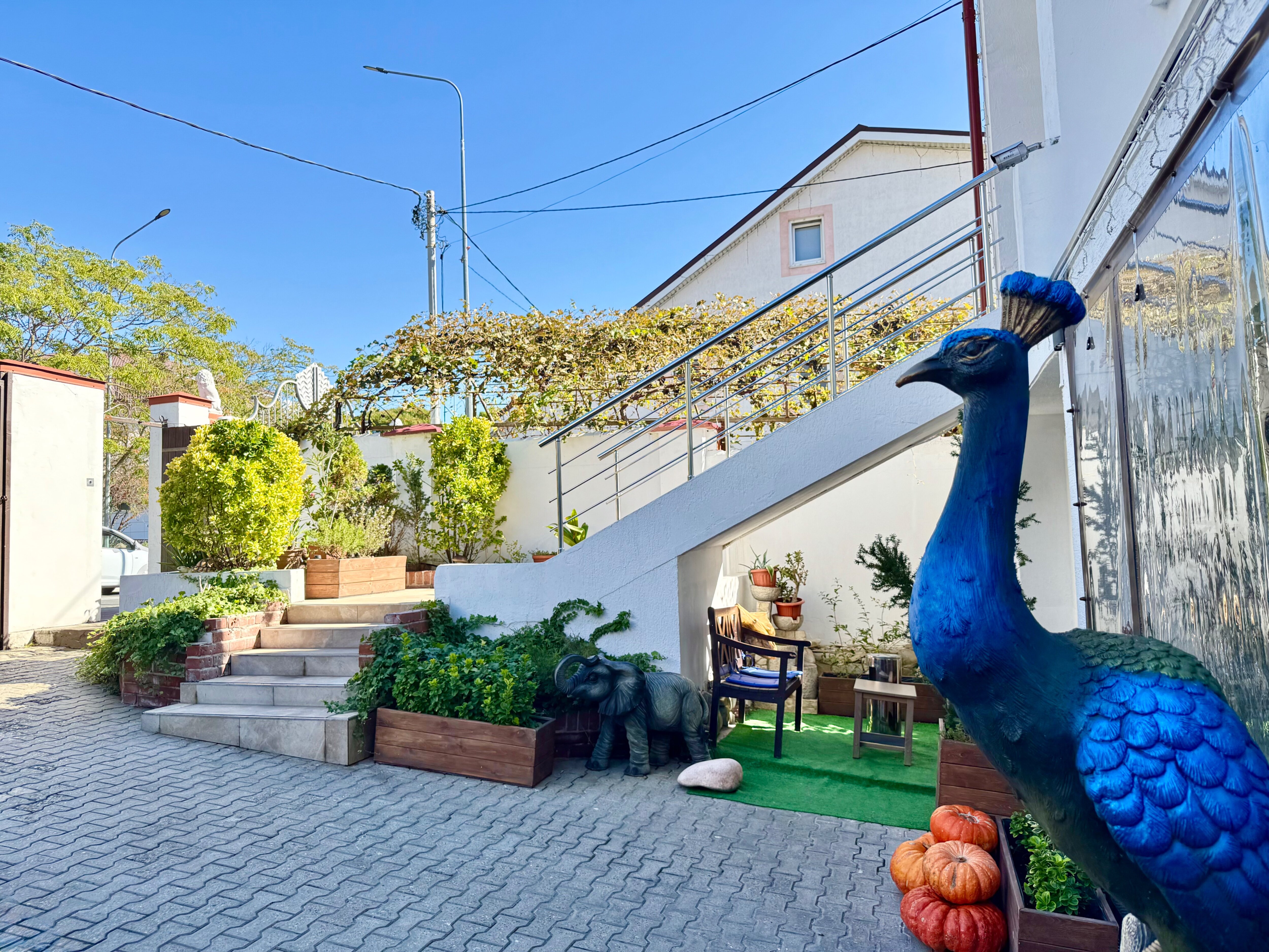 Фото Бали Вилла