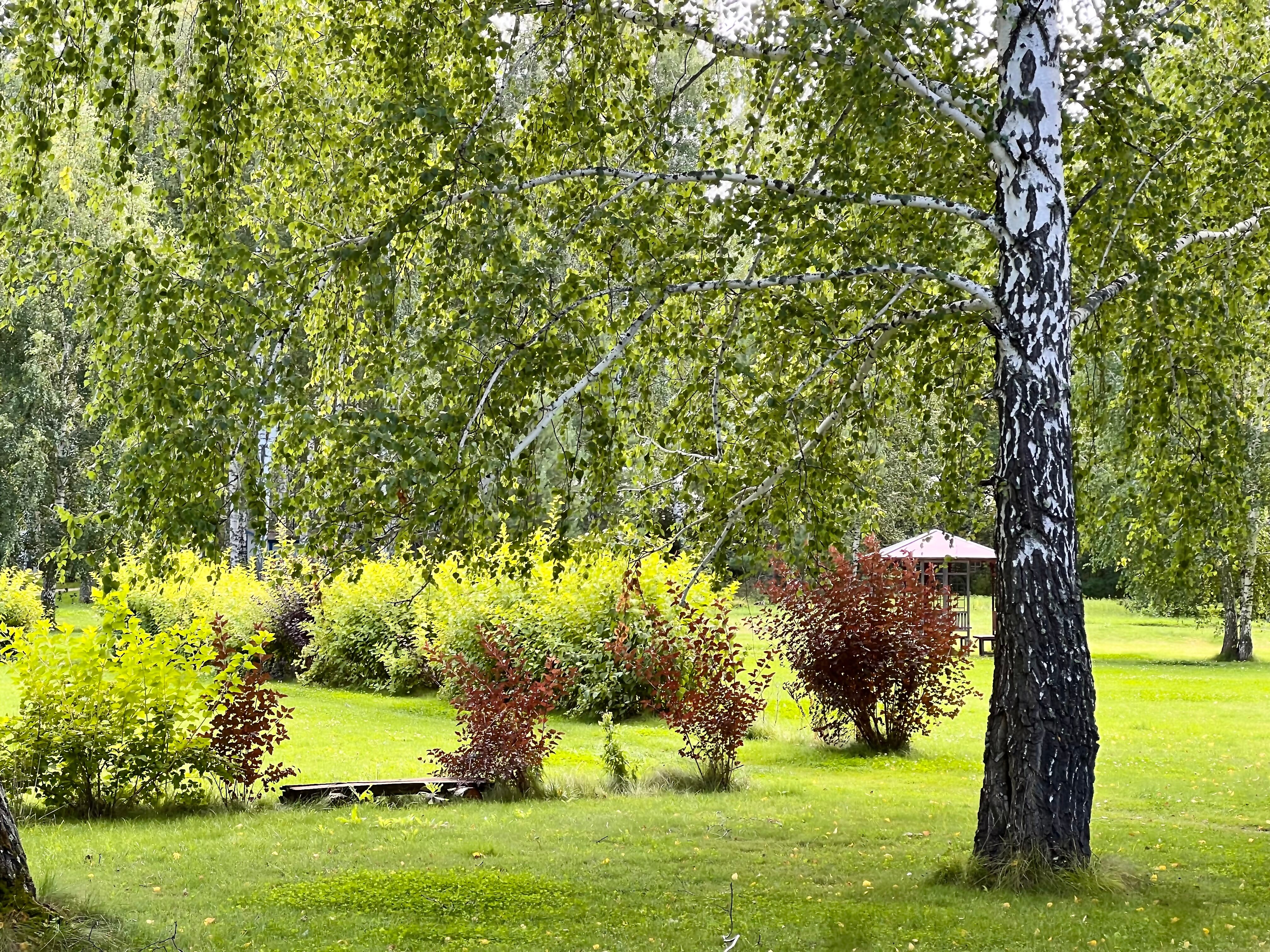 Фото Теремки