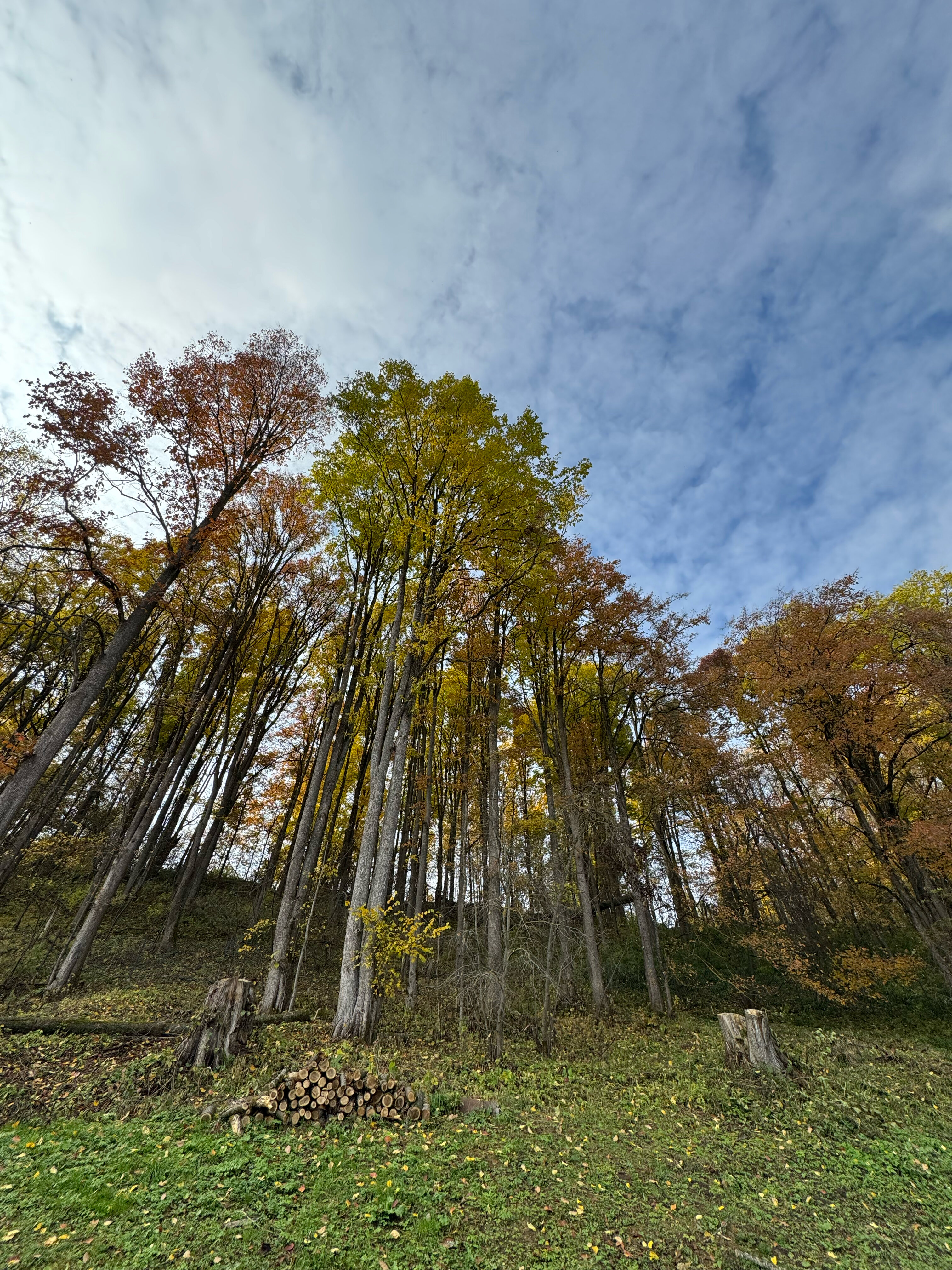 Фото Резиденция Товарищества Братьев Нобель