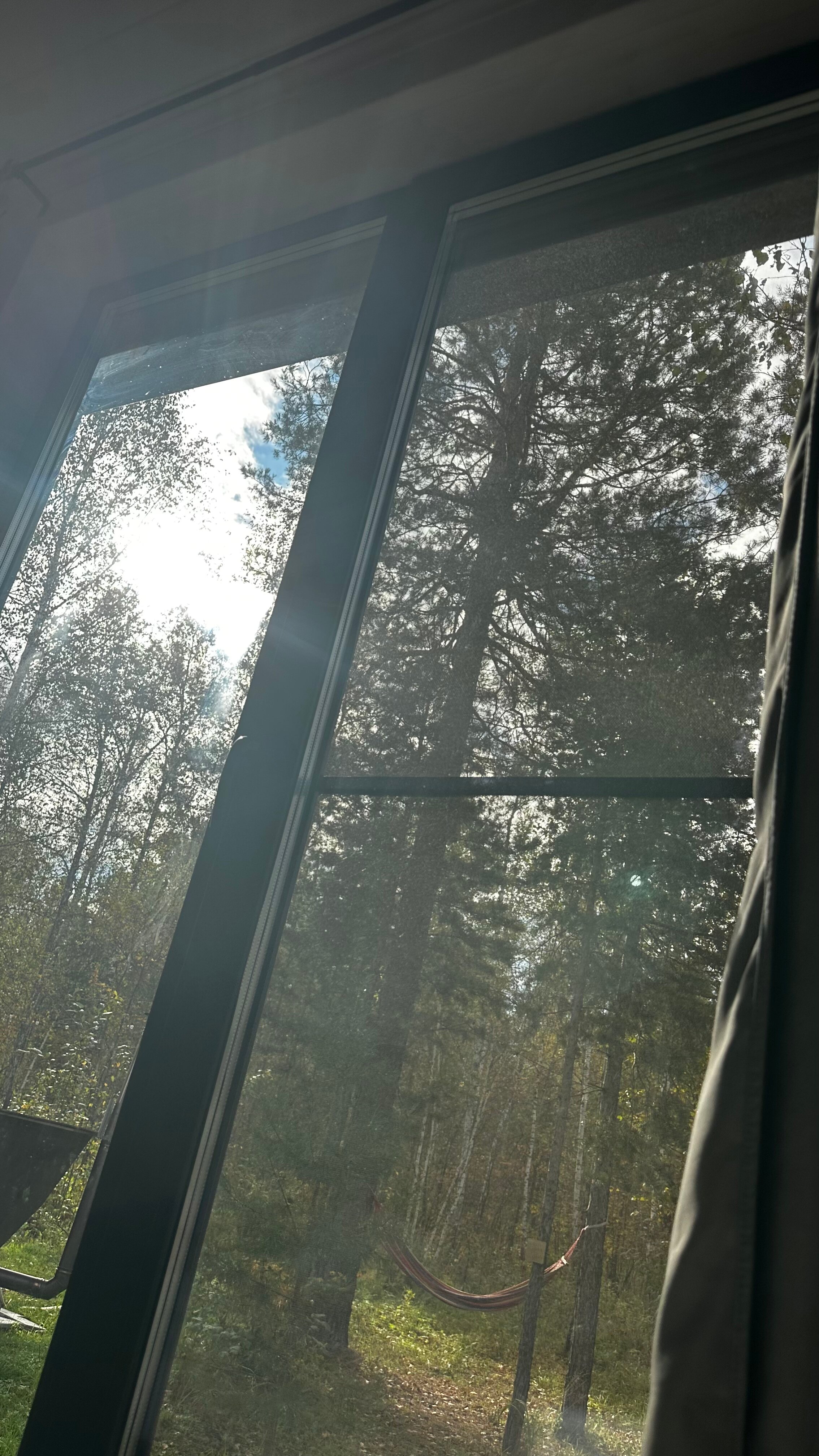 Фото Эхо леса