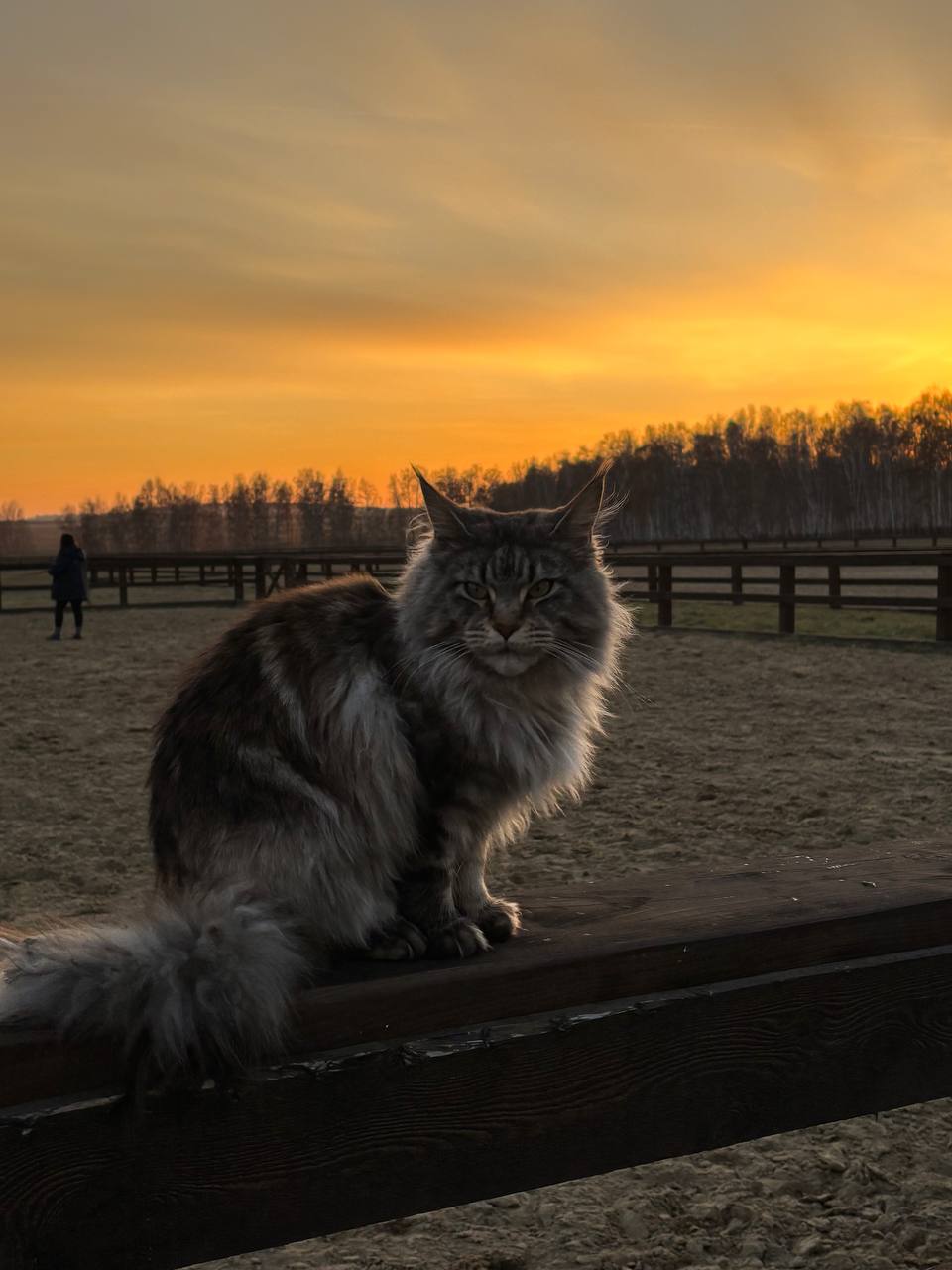 Фото Ранчо Шарье