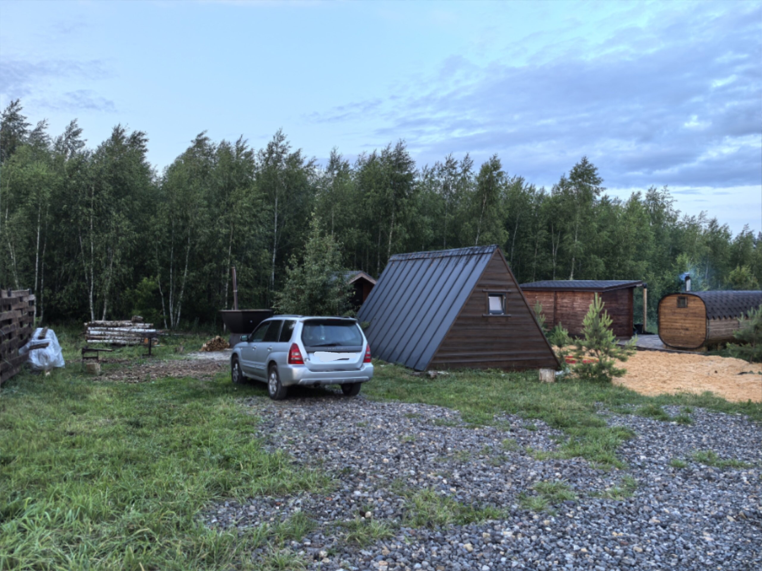 Фото Forest chan