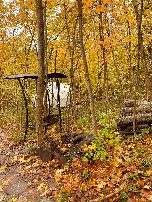 Фото Клевер