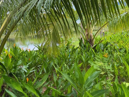 Фото Bali Villa Kampot