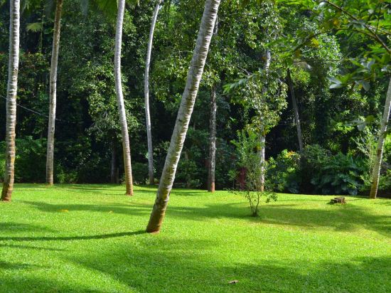 Фото Sweet Cinnamon Kandy