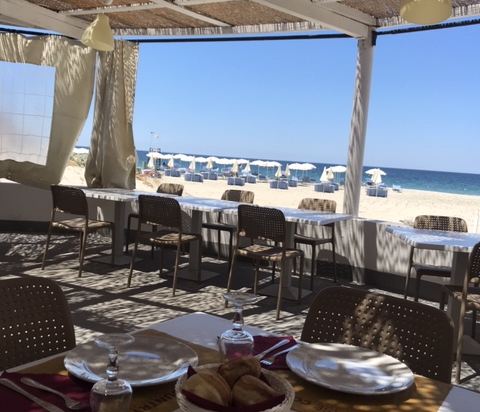 Фото Horse Country Resort Congress & SPA