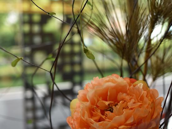 Фото 183829655713