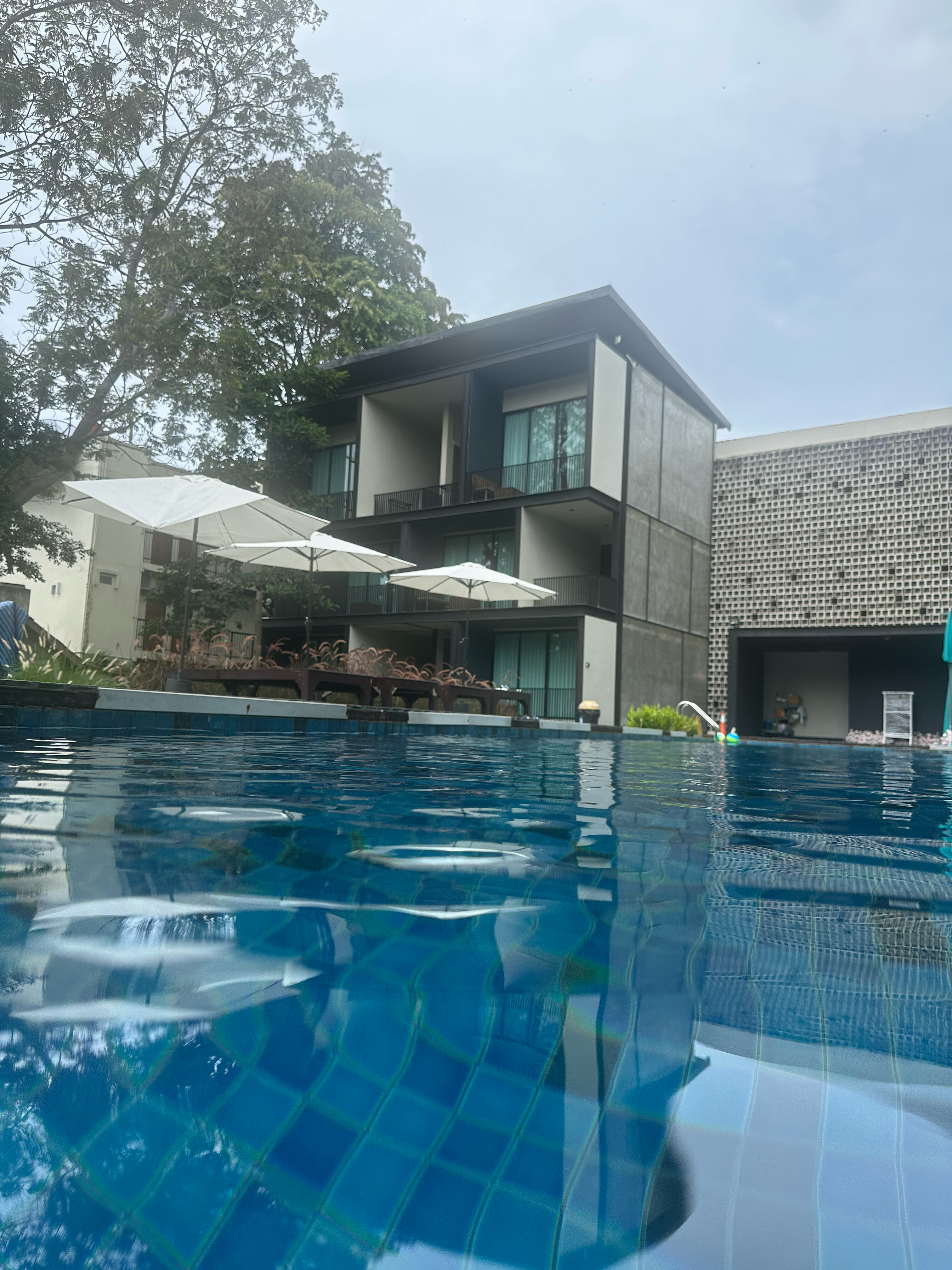 Фото 237883581648