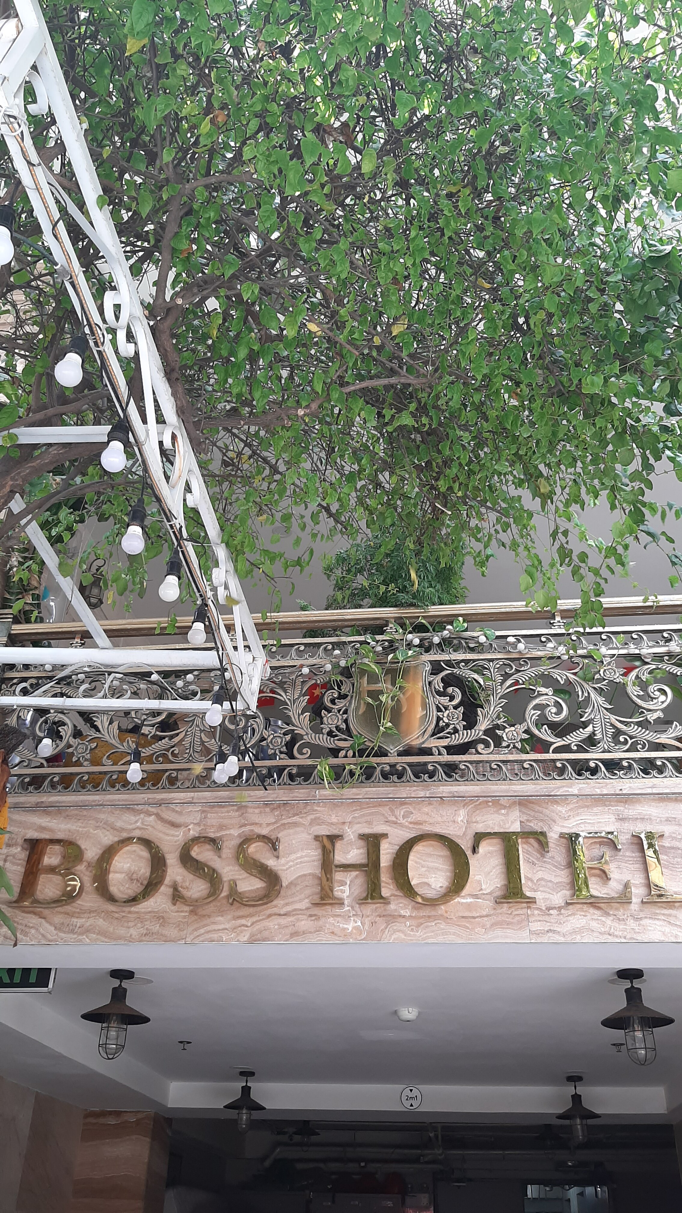 Фото Boss Hotel