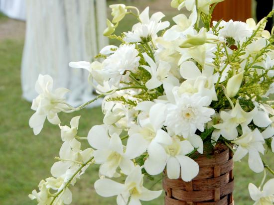 Фото Best Western Premier Bangtao Beach Resort & SPA