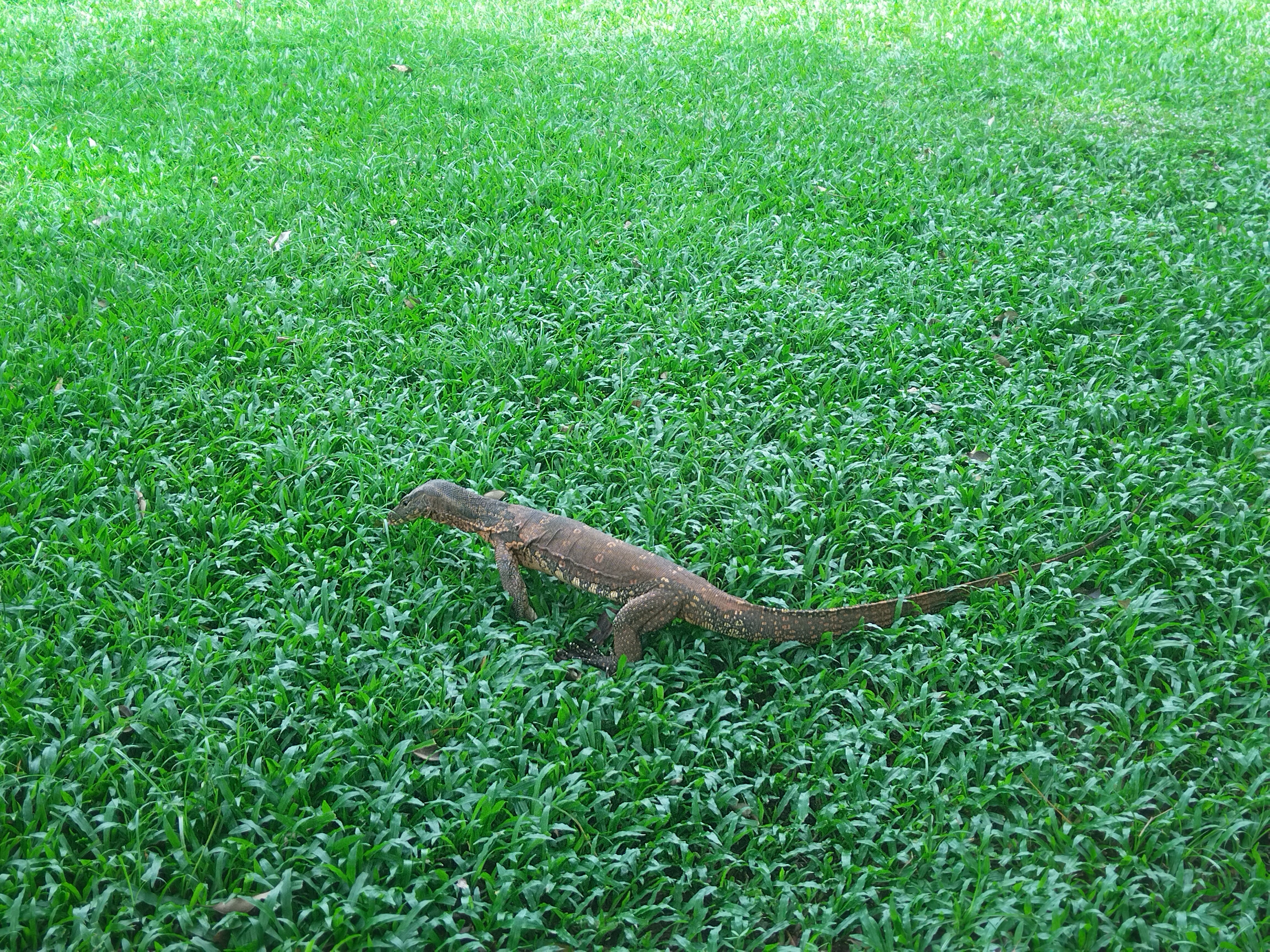 Фото Naithonburi Beach Resort