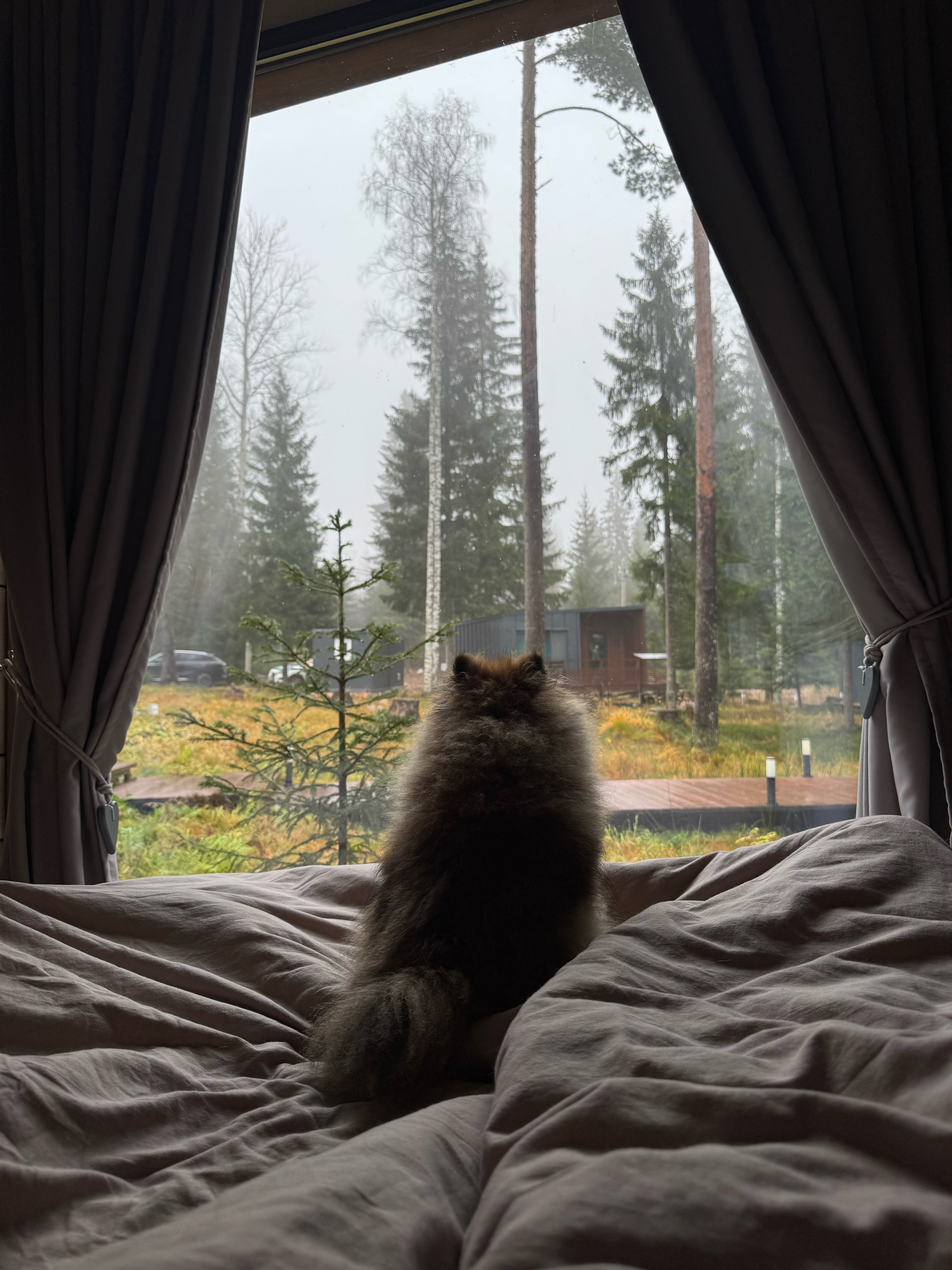 Фото Klever House, Стеклянный Ручей