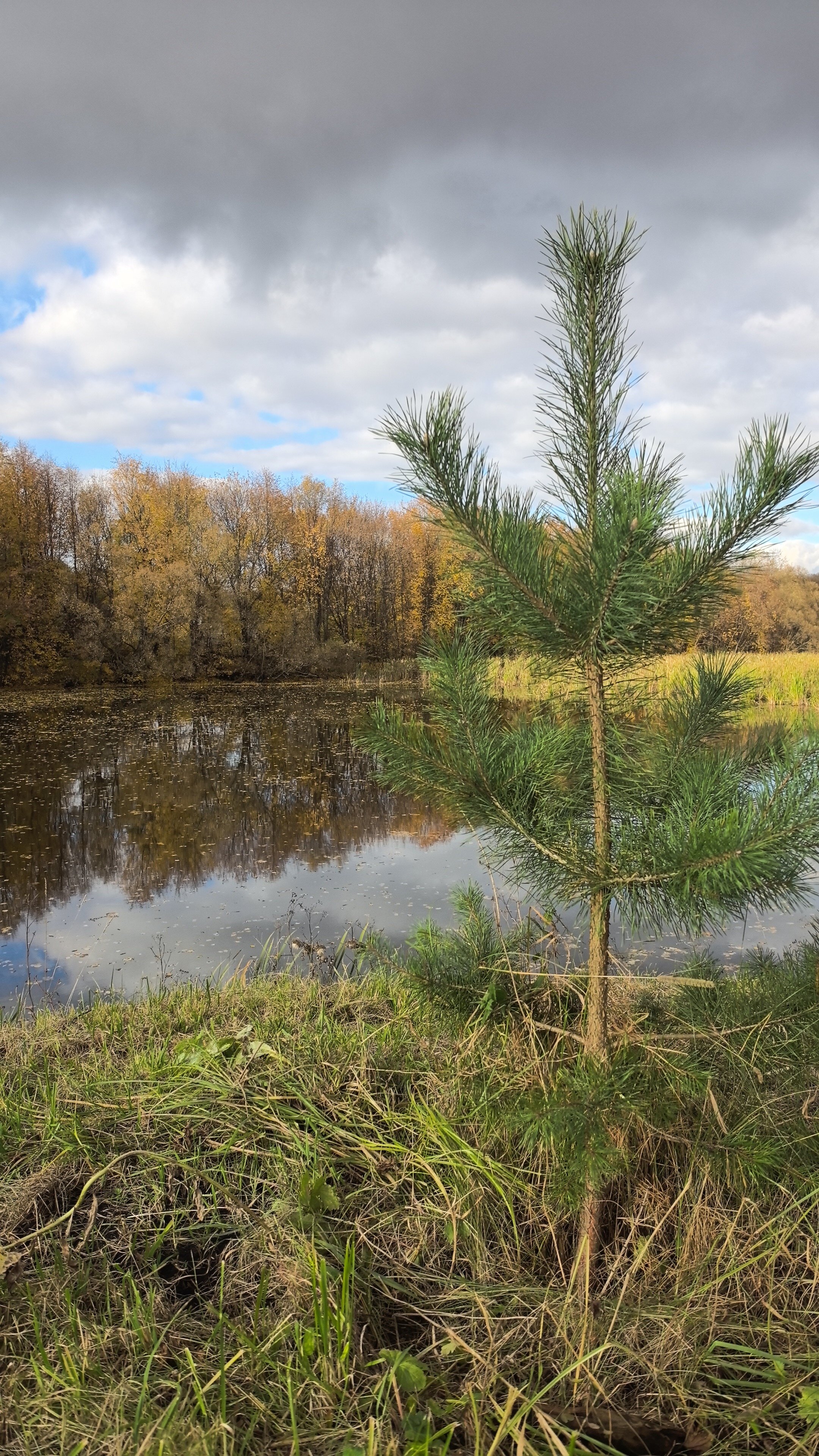 Фото Без границ