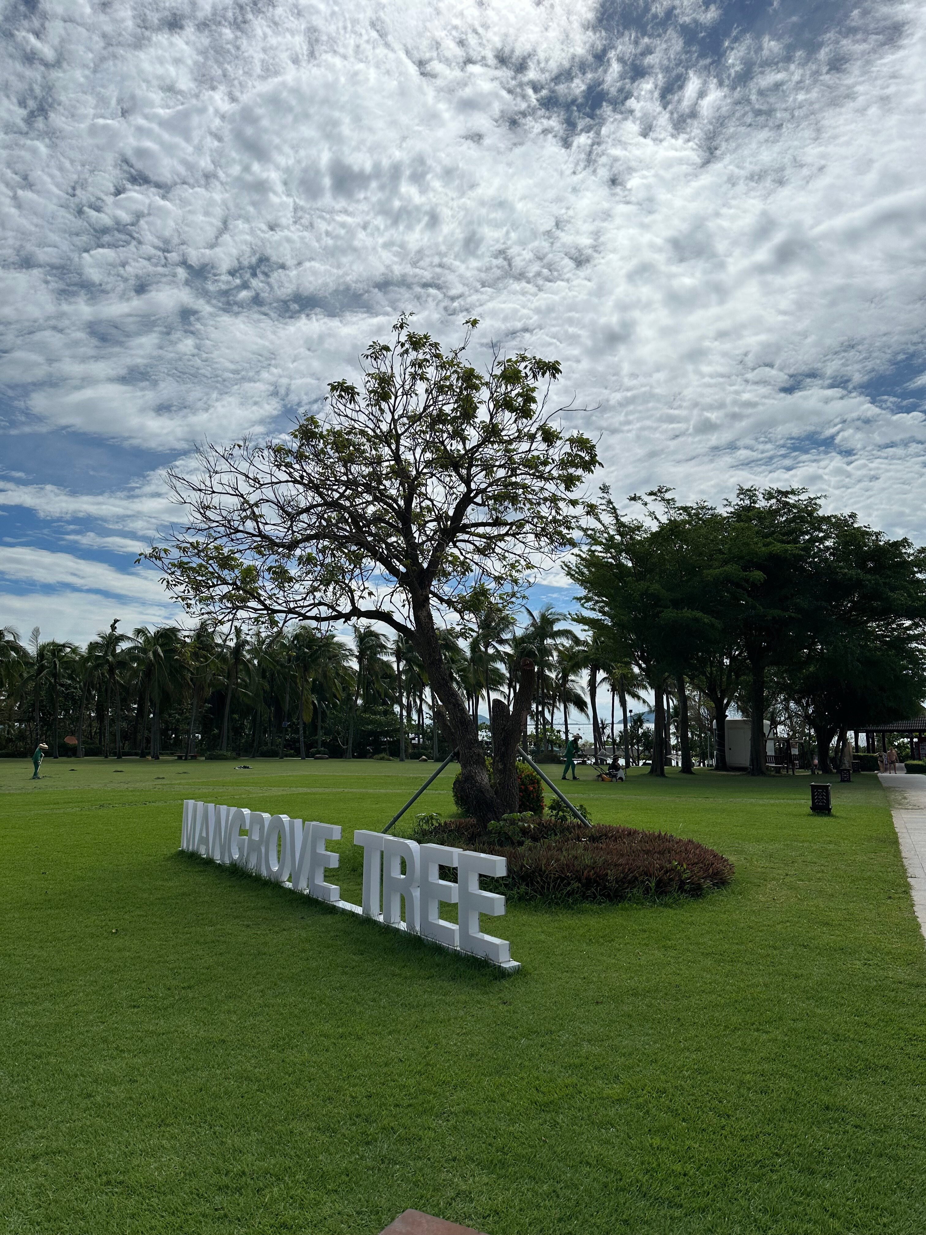 Фото Yalong Bay Mangrove Tree Resort