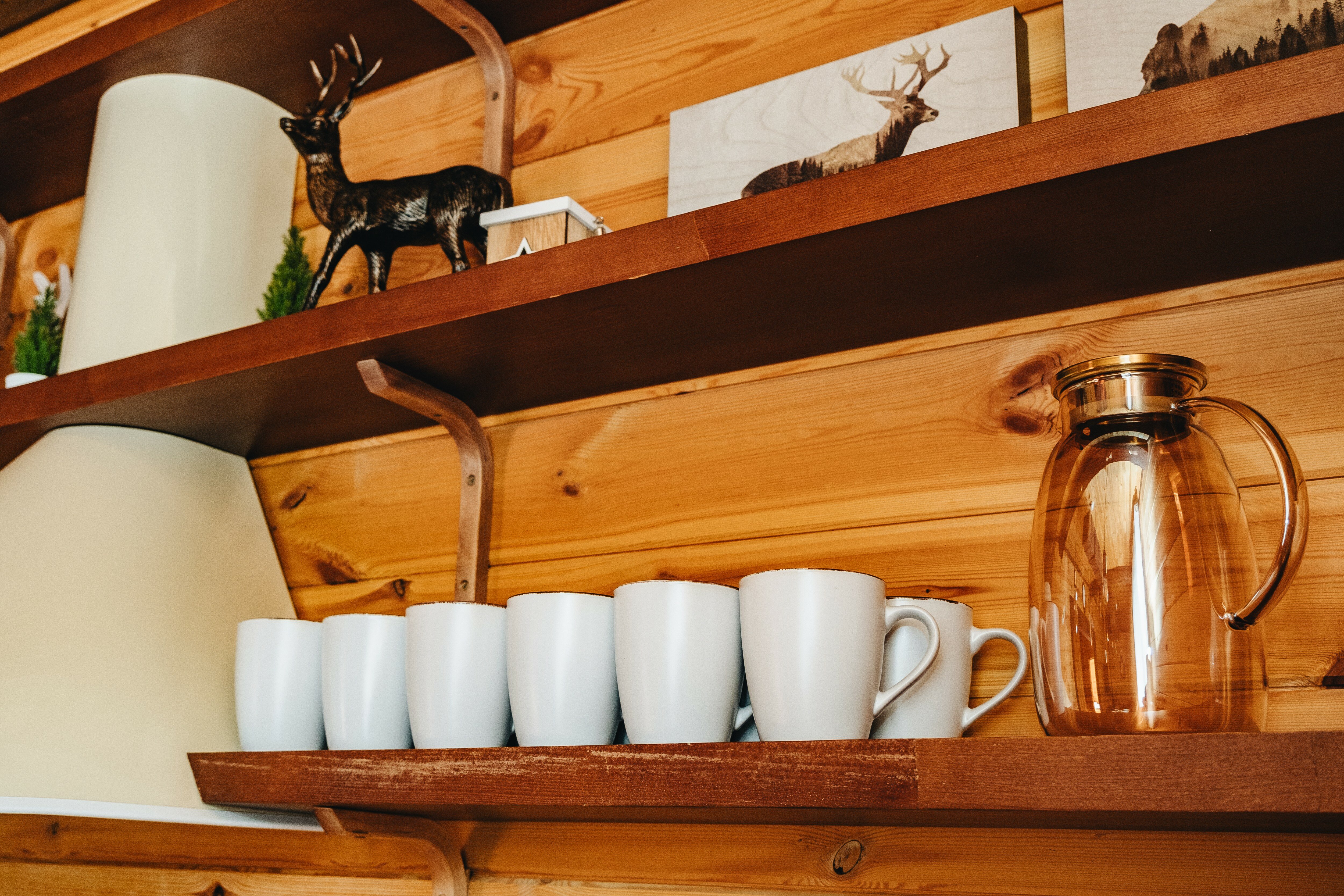 Фото Panda house