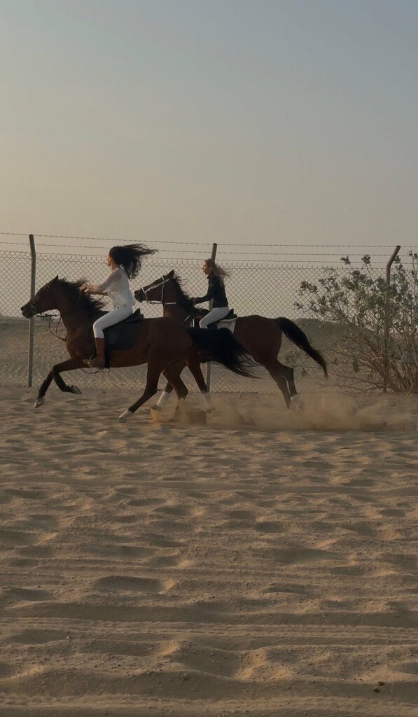 Horse riding Dubai Desert Horse Ride Experience, Emirate of Dubai, photo