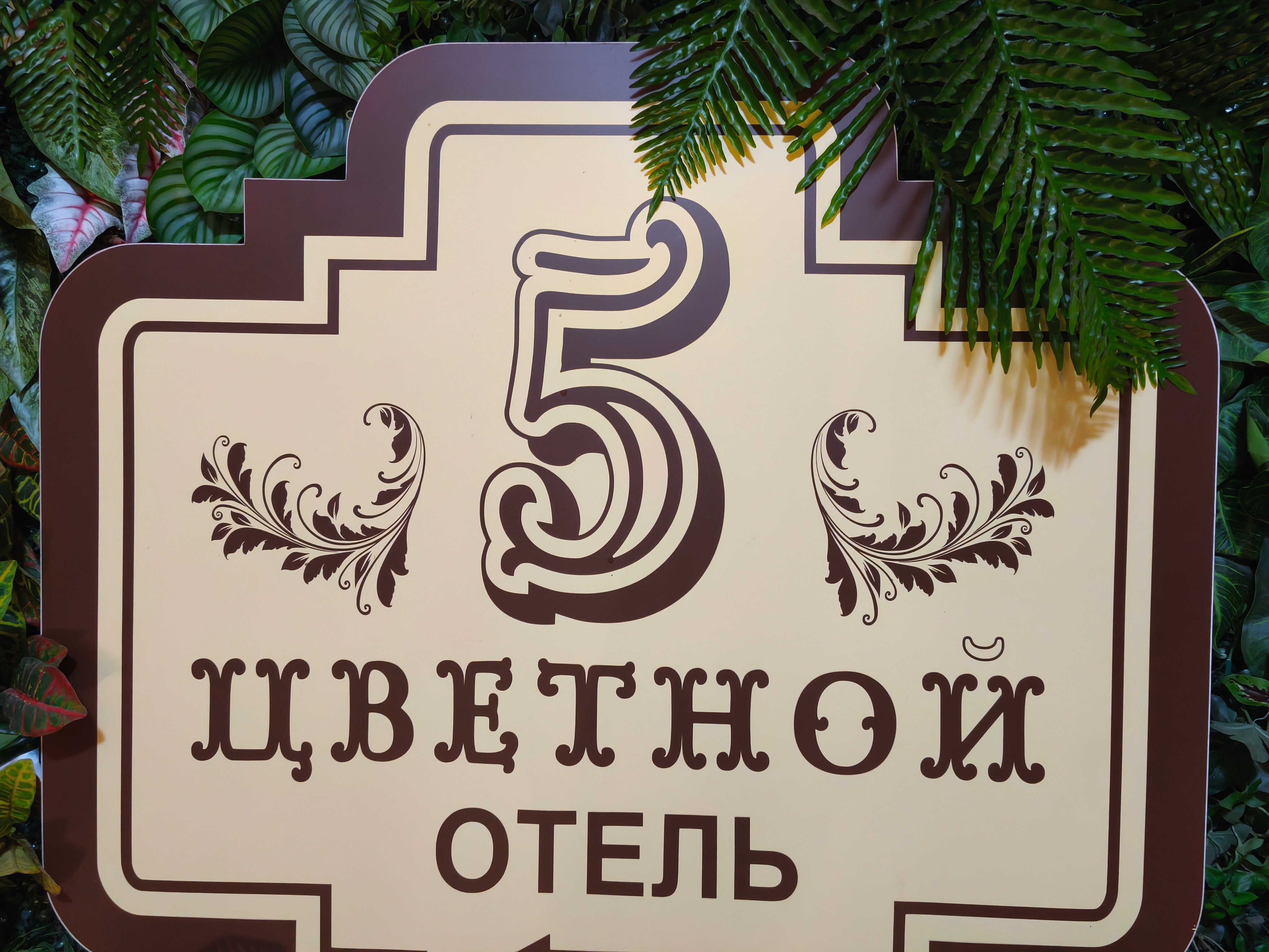 Фото Цветной 5