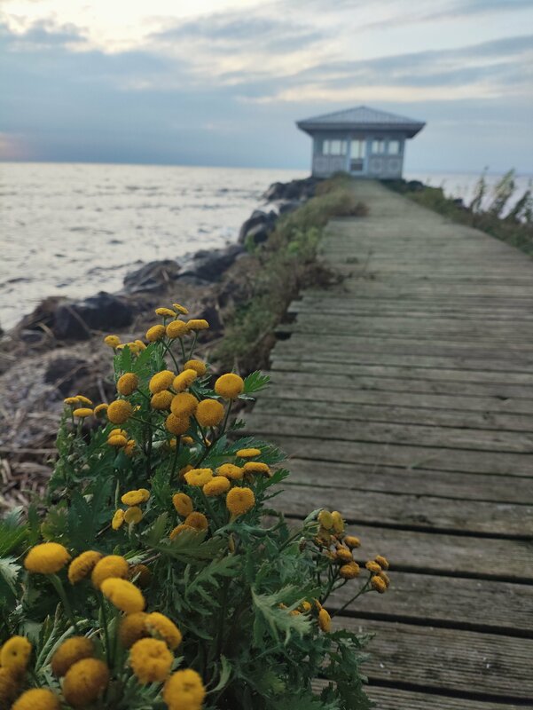 Загородный клуб Устье — фото 18