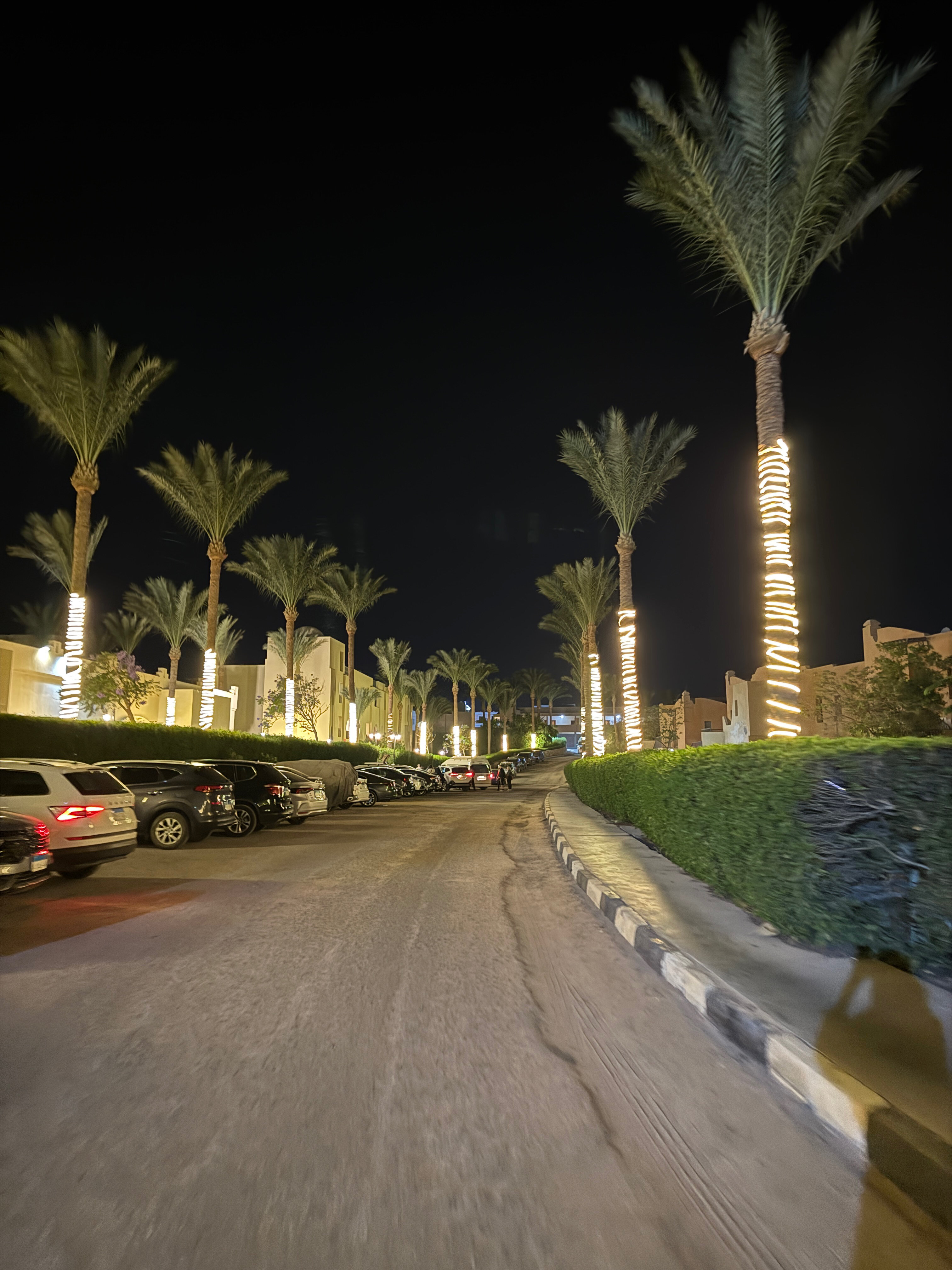 Фото Stella Gardens Resort & SPA