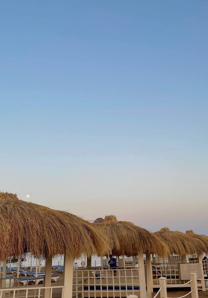 Фото Parrotel Aqua Park Resort