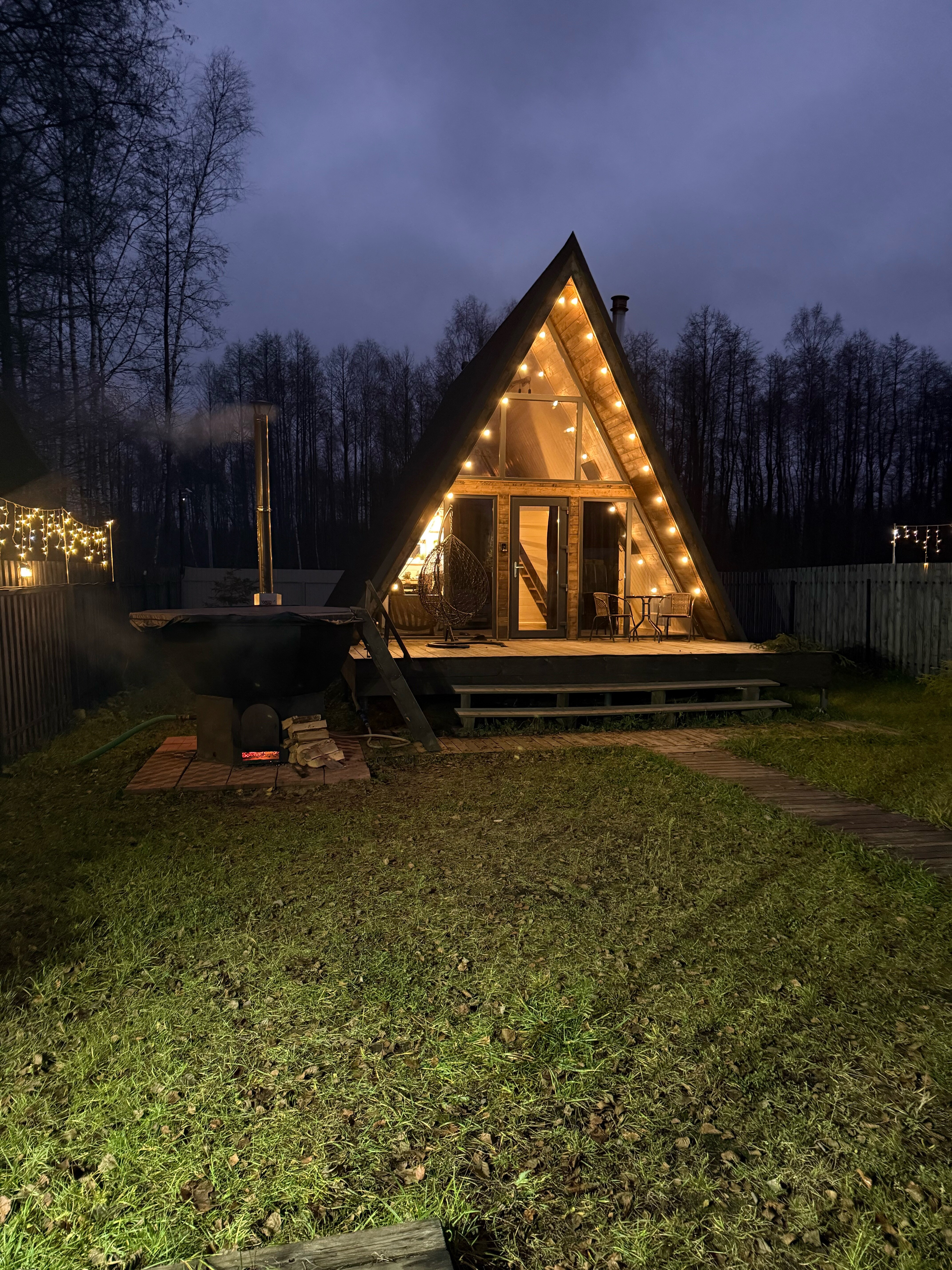 Фото Forest life