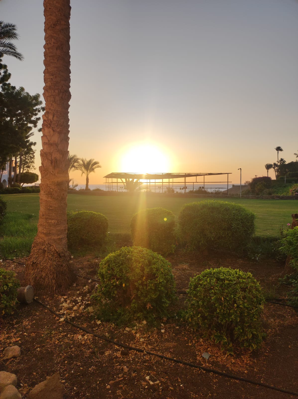 Фото Domina Coral Bay Oasis