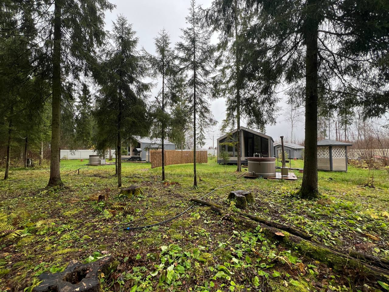 Фото Лесариум