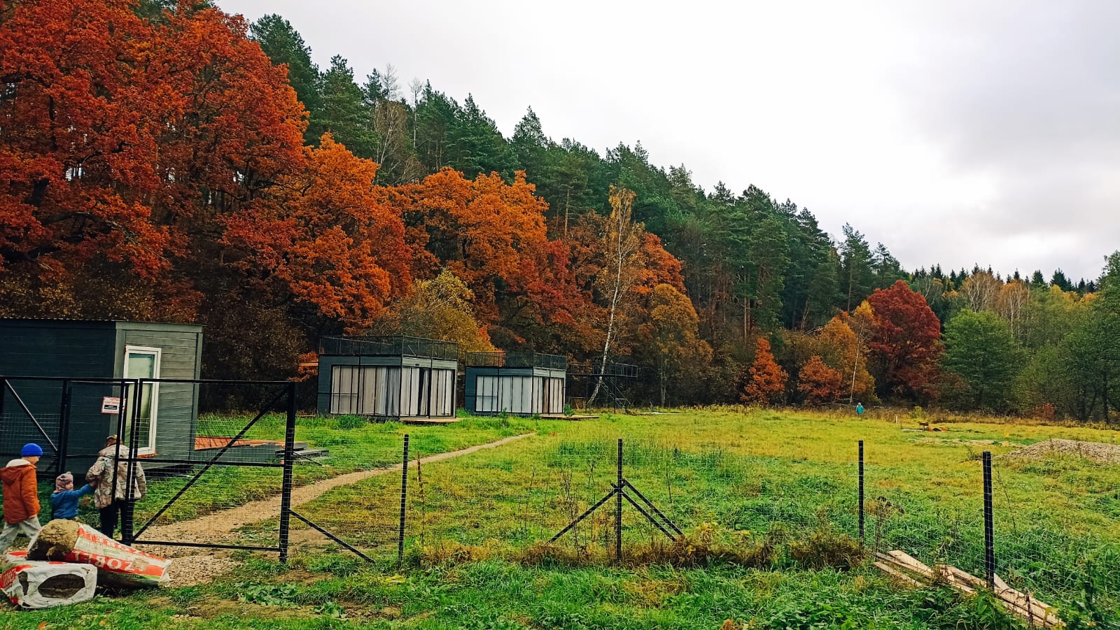 Фото Лисица