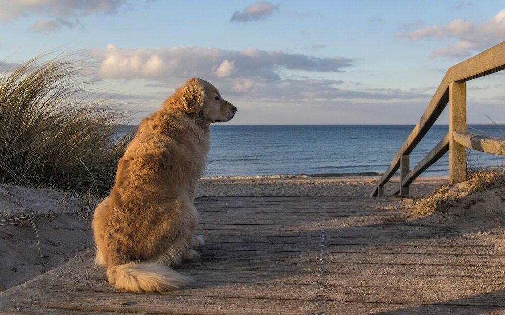 Фото Carat Golf & Sporthotel