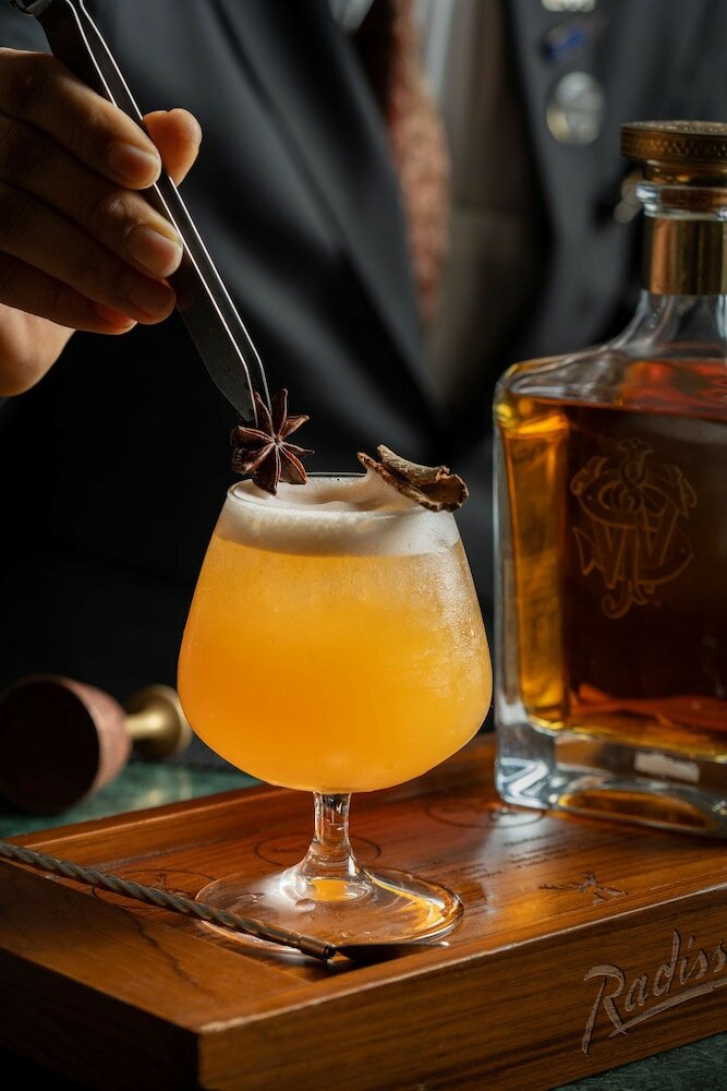 Фото Radisson Blu Plaza Hotel, Delhi Airport