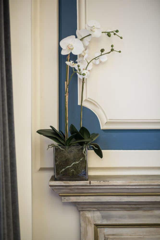 Фото Hotel Burchianti