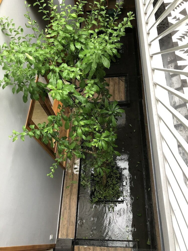 Фото Yellow House Boutique